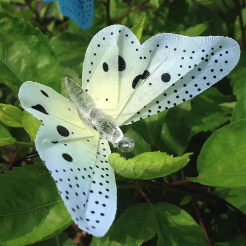 Premium Novelty Light with LED, Solar - Multicolor for Garden, Outdoor Model C0DB56