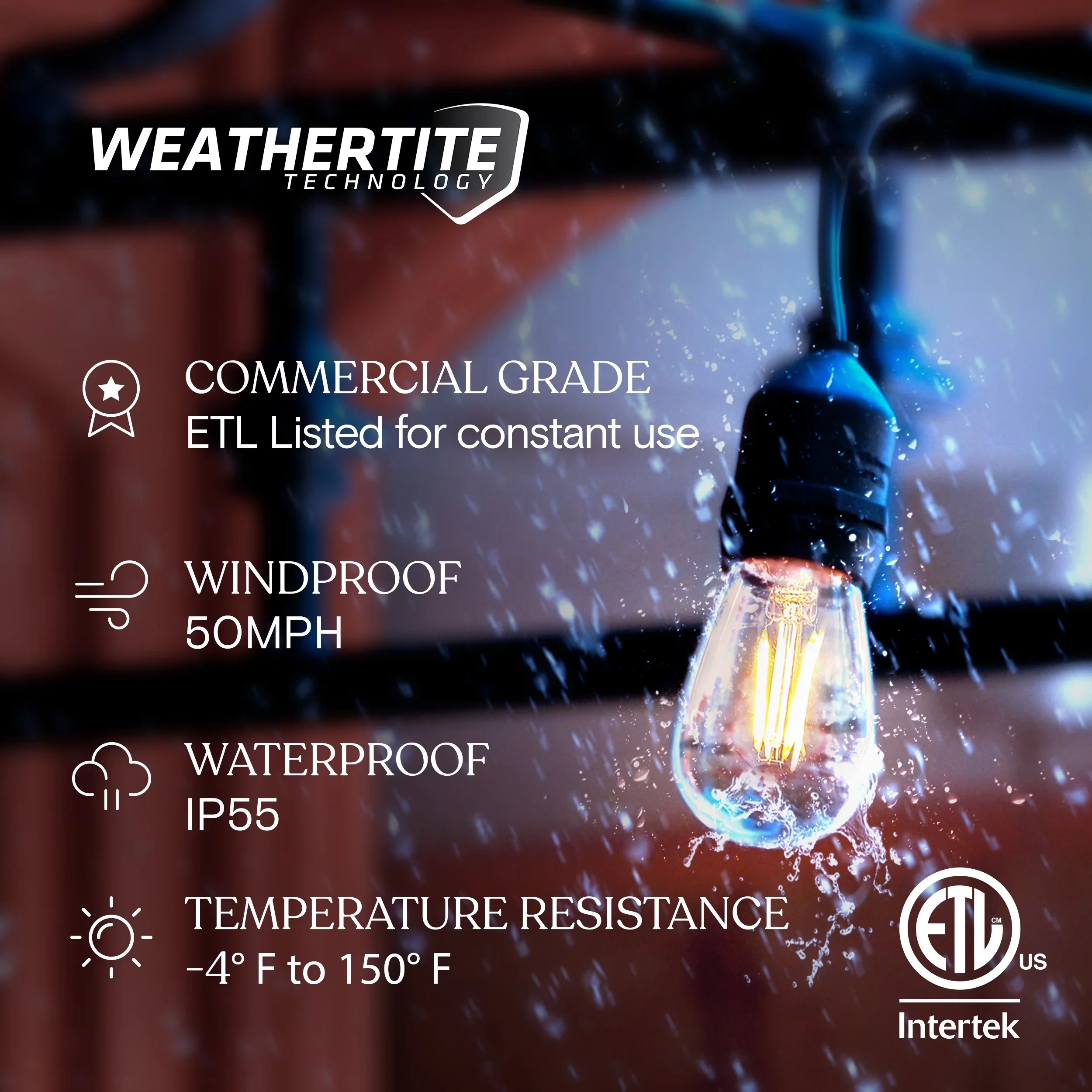 Compact Novelty Light with LED, 1W - Black 2700K - Essential Collection Model 79DF36