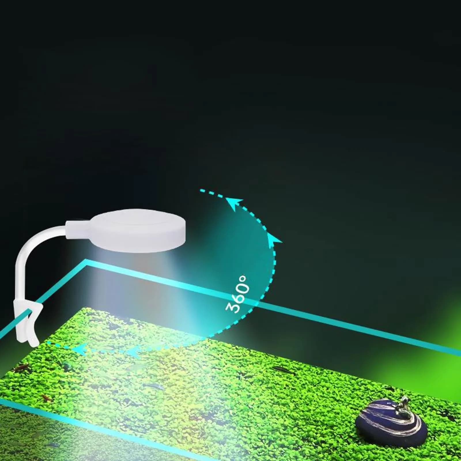 Essential Lamp Set with LED, Rose Lamps - White Aluminum for Outdoor, Small Model F52565