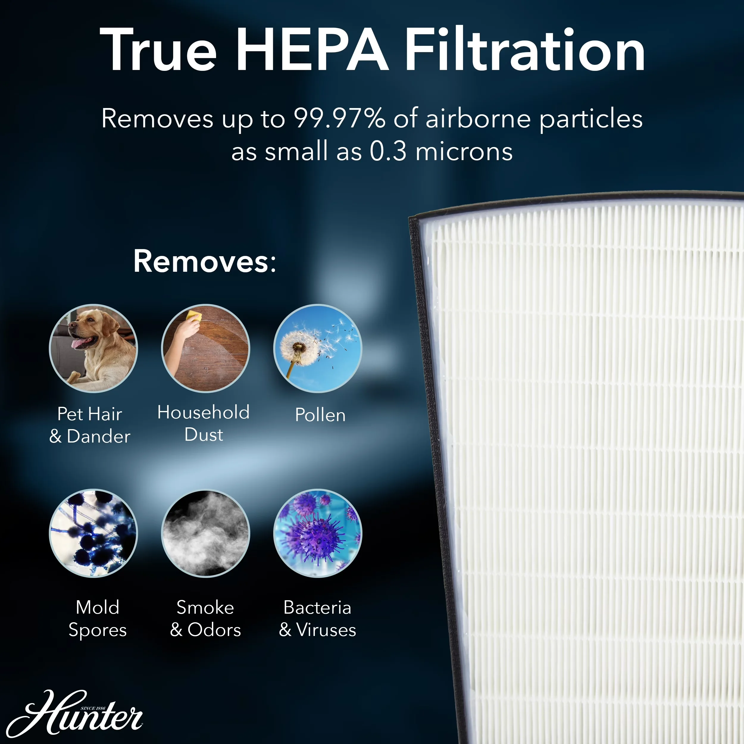 Stylish Air Purifier with Filter Change Indicator, Gray - Gray Vp HP800 Model 4C2A86