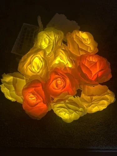 Reliable Led Lighting with LED - Multicolor Rose - Ergonomic Design Model 0DABBB