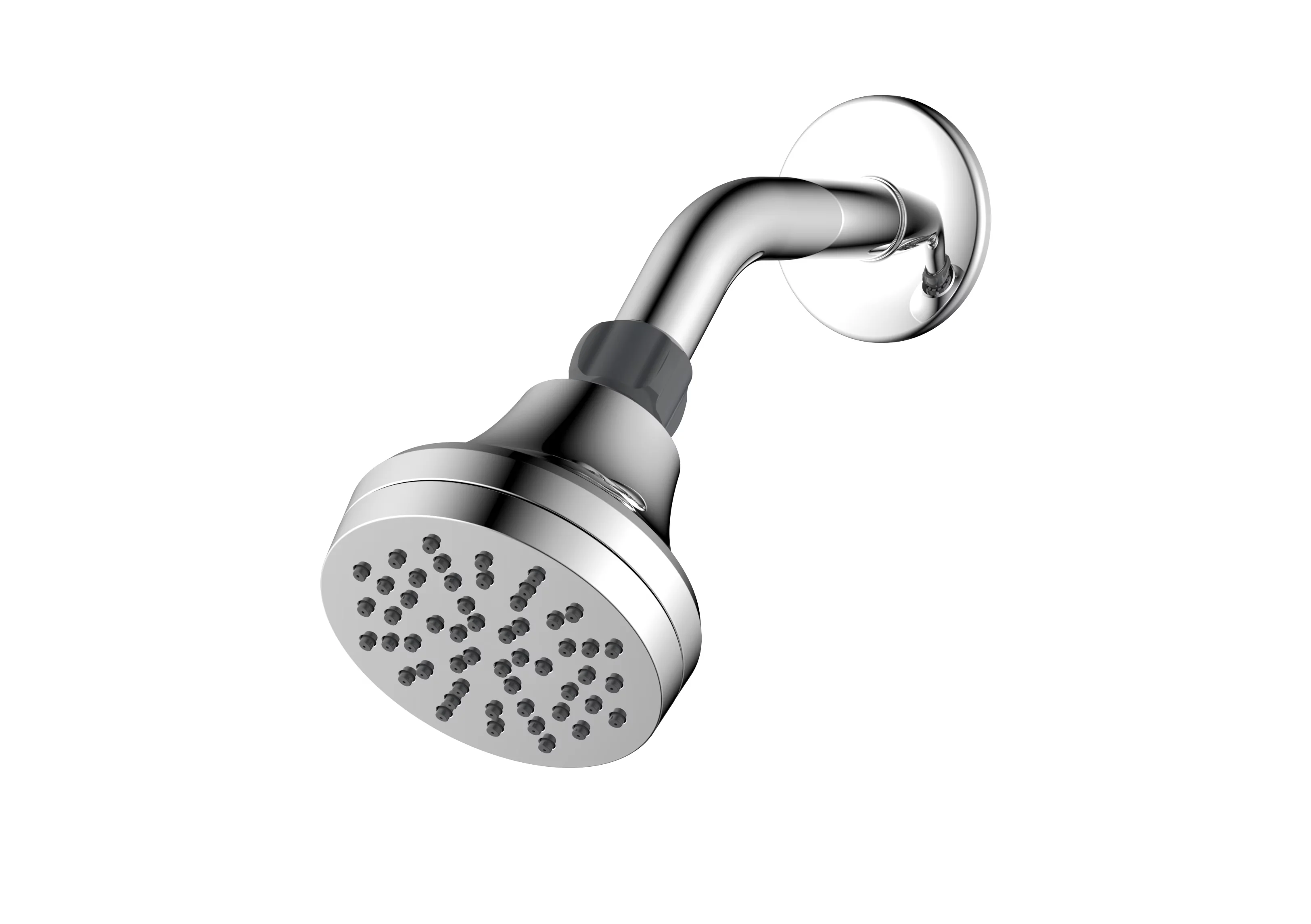 Shower Head Professional with 1-Setting spray: full spray, Single Setting in Chrome - Abs,Pp,Synthetic Rubber,Pom Silver Model 6DFD75