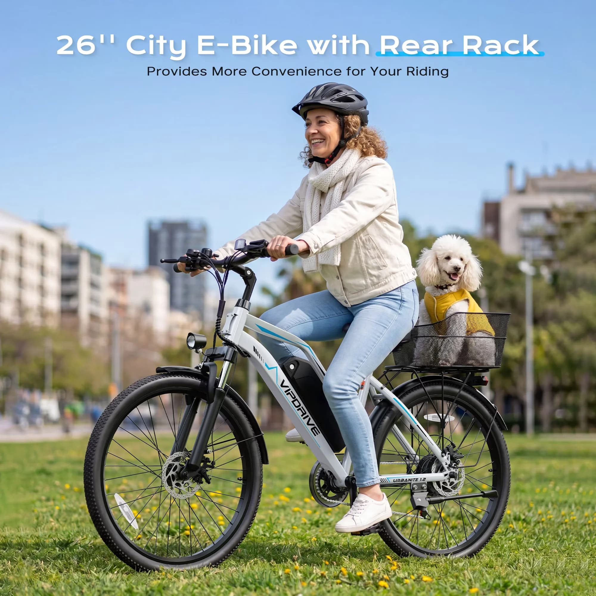 Sleek Electric Bike with Battery, 750W, 48V - Heavy Duty Model EC660D