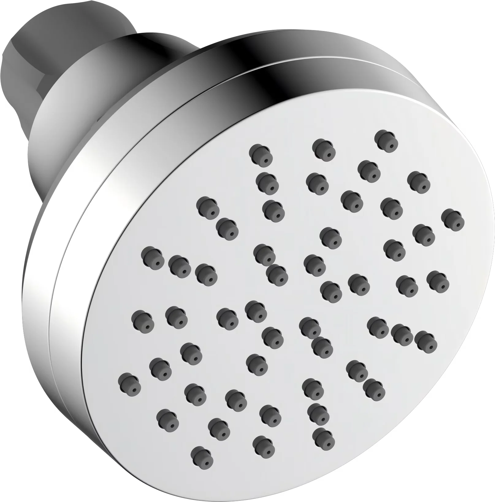 Shower Head Professional with 1-Setting spray: full spray, Single Setting in Chrome - Abs,Pp,Synthetic Rubber,Pom Silver Model 6DFD75