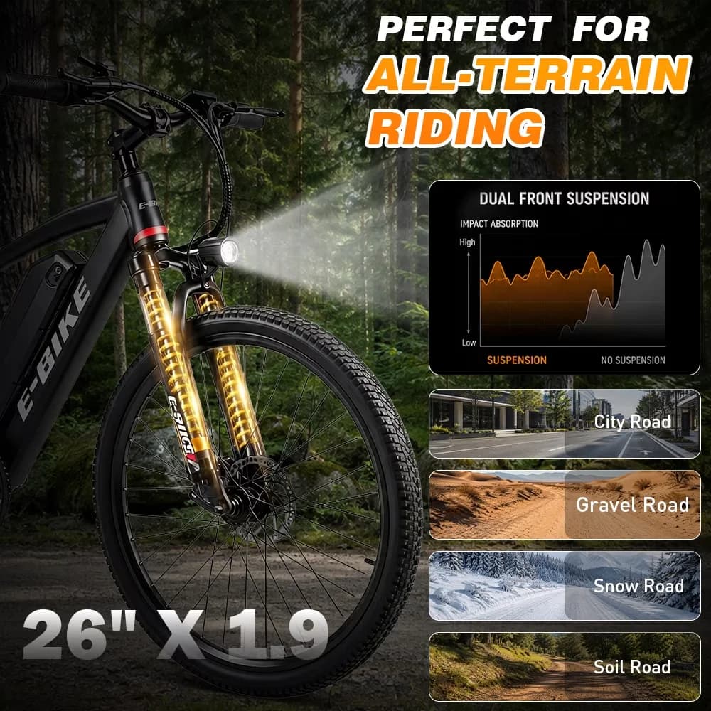 Electric Bike Premium with Battery, 750W, 48V - Commercial Quality Model 91EAFC