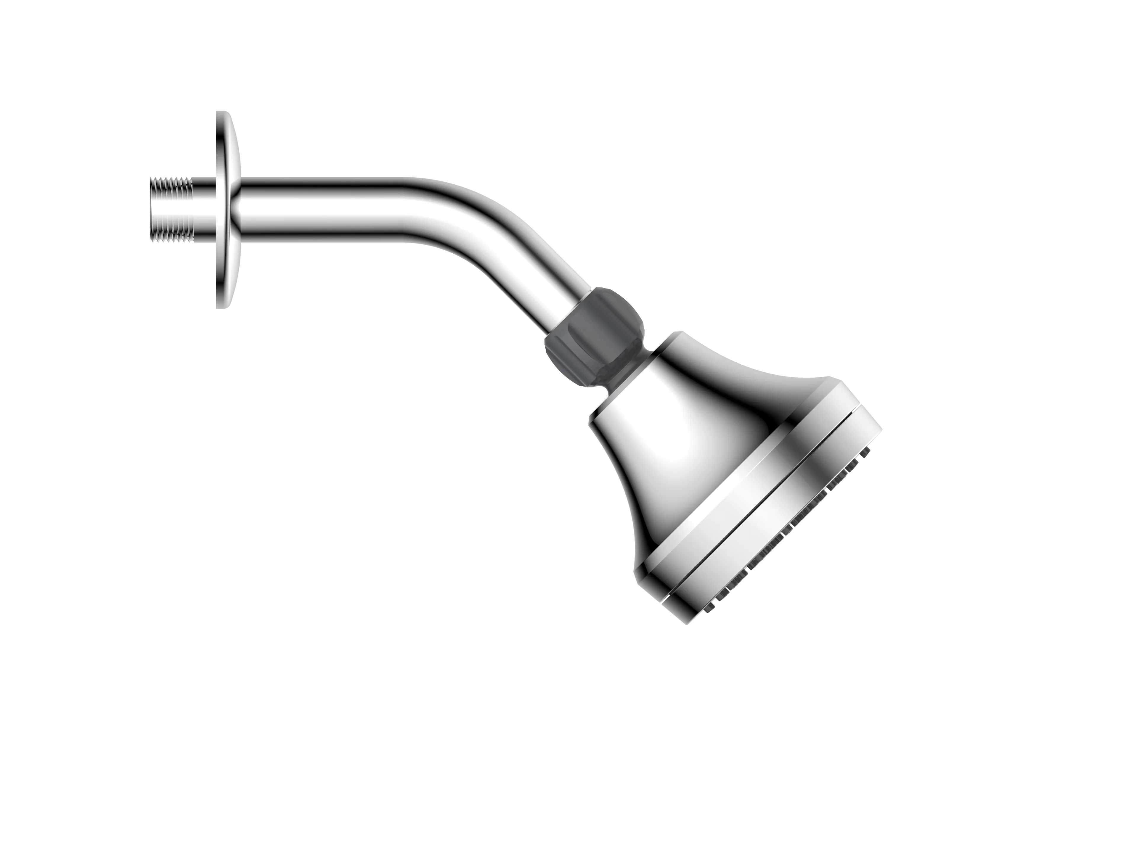 Shower Head Professional with 1-Setting spray: full spray, Single Setting in Chrome - Abs,Pp,Synthetic Rubber,Pom Silver Model 6DFD75