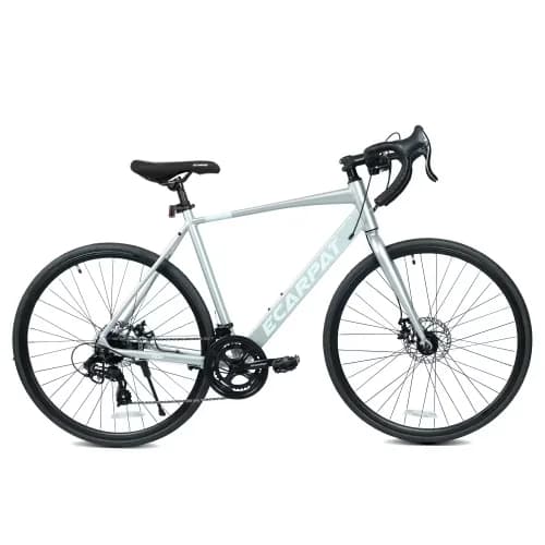 Premium Road Bike with Lightweight, Have a good day!, 700C - Sliver - Space-Saving Design Model 1F0722