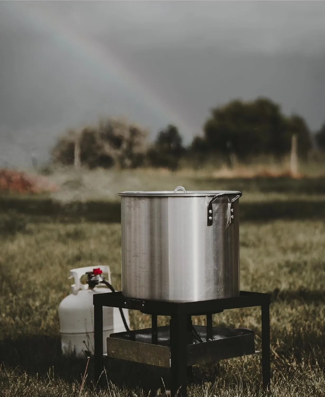 Compact Outdoor Fryer with Propane Regulator, 100Qt Pot, Basket - Aluminum Model 61DD26