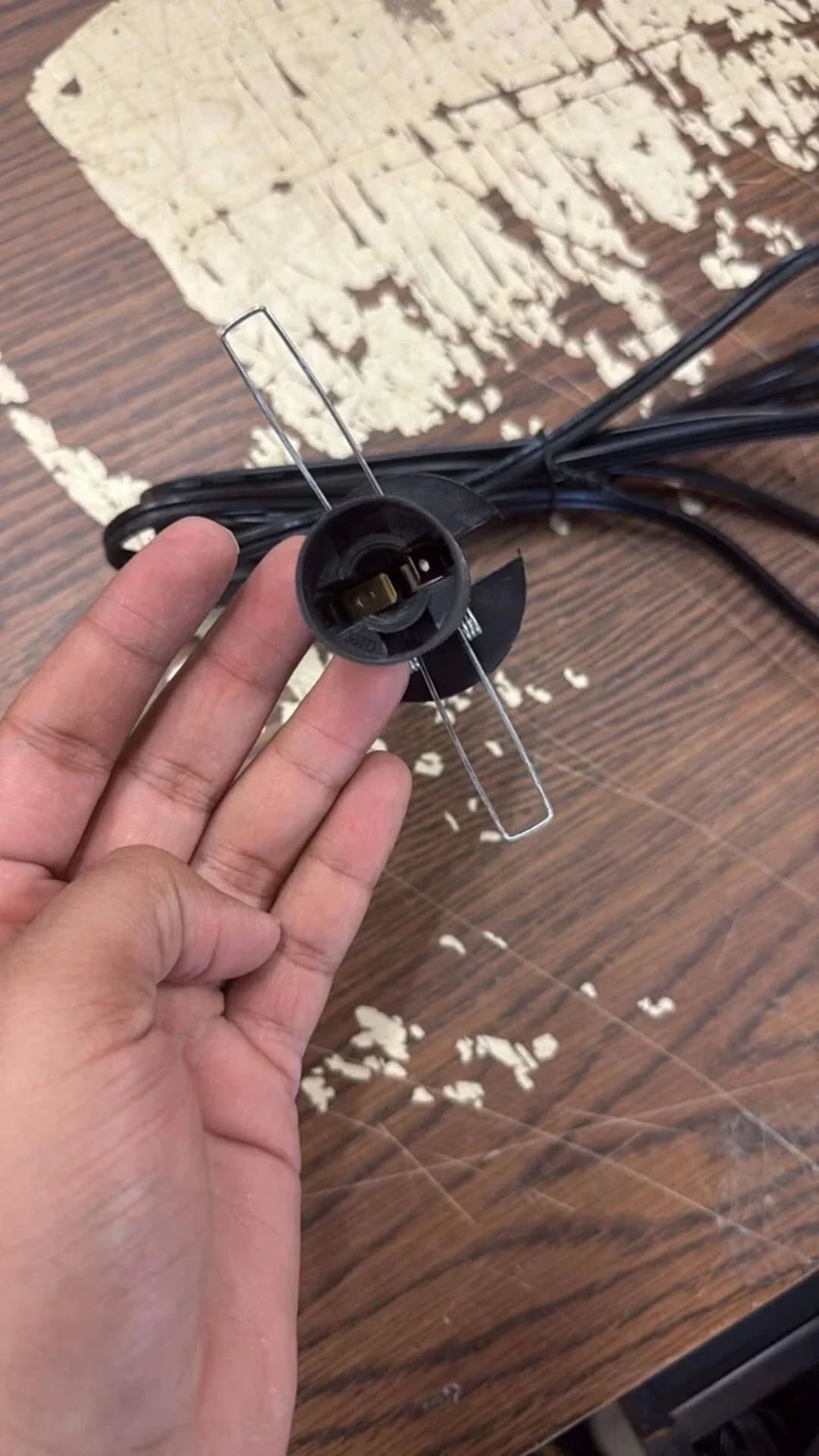 Novelty Light Professional with Power Cord, Easy to use and practical for everyone. - Model EBB62C