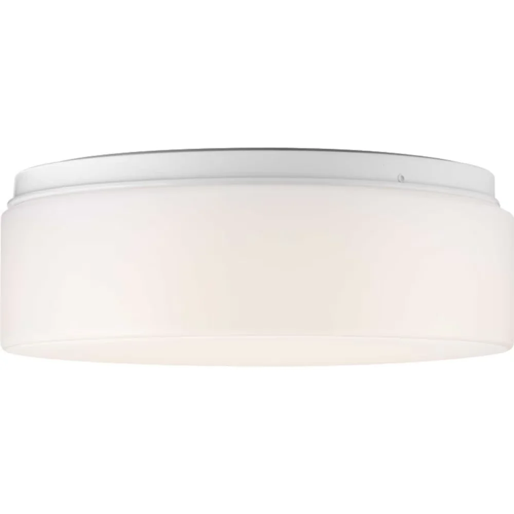 Essential Ceiling Lights Fixture with LED, Energy Efficient, Transitional - White Acrylic, Steel Model B8ECC4