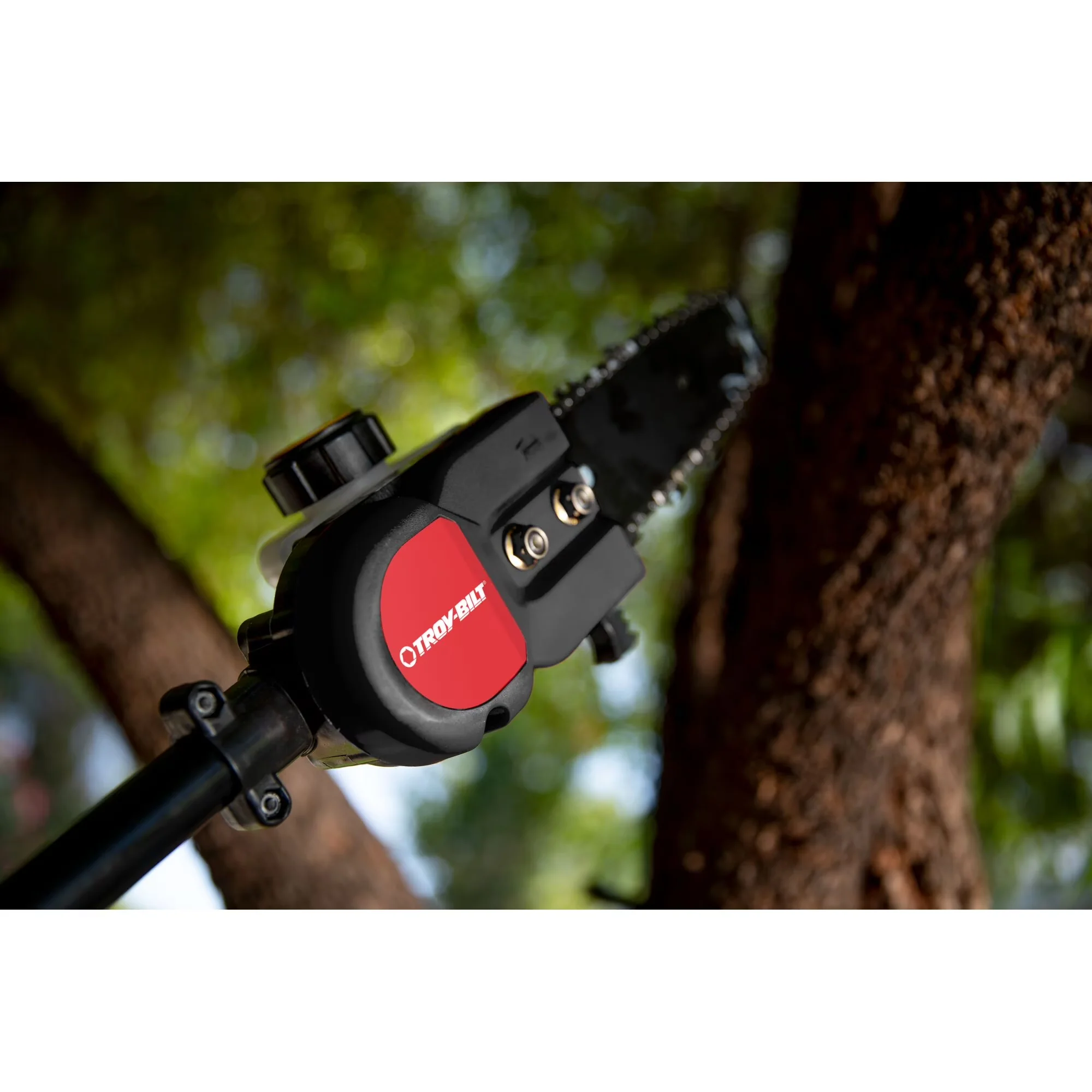Professional Pole Saw with Automatic Chain Oiler, 25cc 10" Gas - Black Model 15D49F