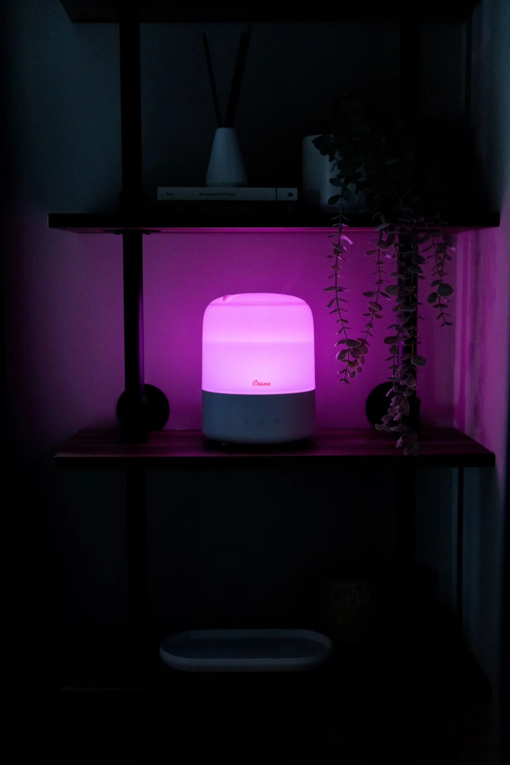 Classic Humidifier with Variable Speed, Compact 3-in-1 Cool Mist, Sleep Support Night Light - White Model EBE492