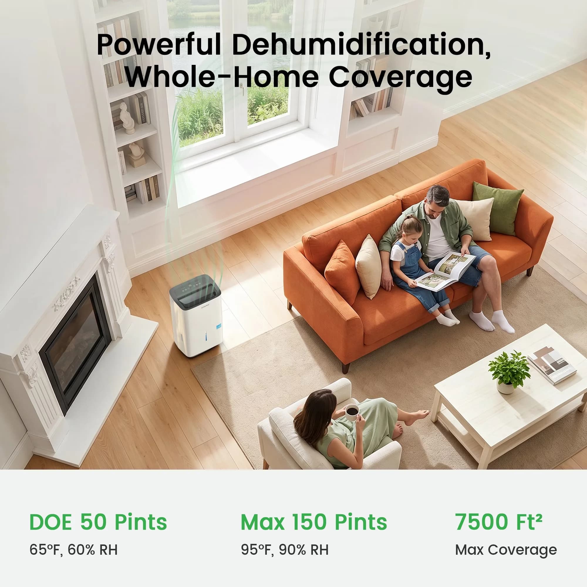 Modern Dehumidifier with Adjustable Humidistat, Automatic Defrost Control - Model 00E4D2