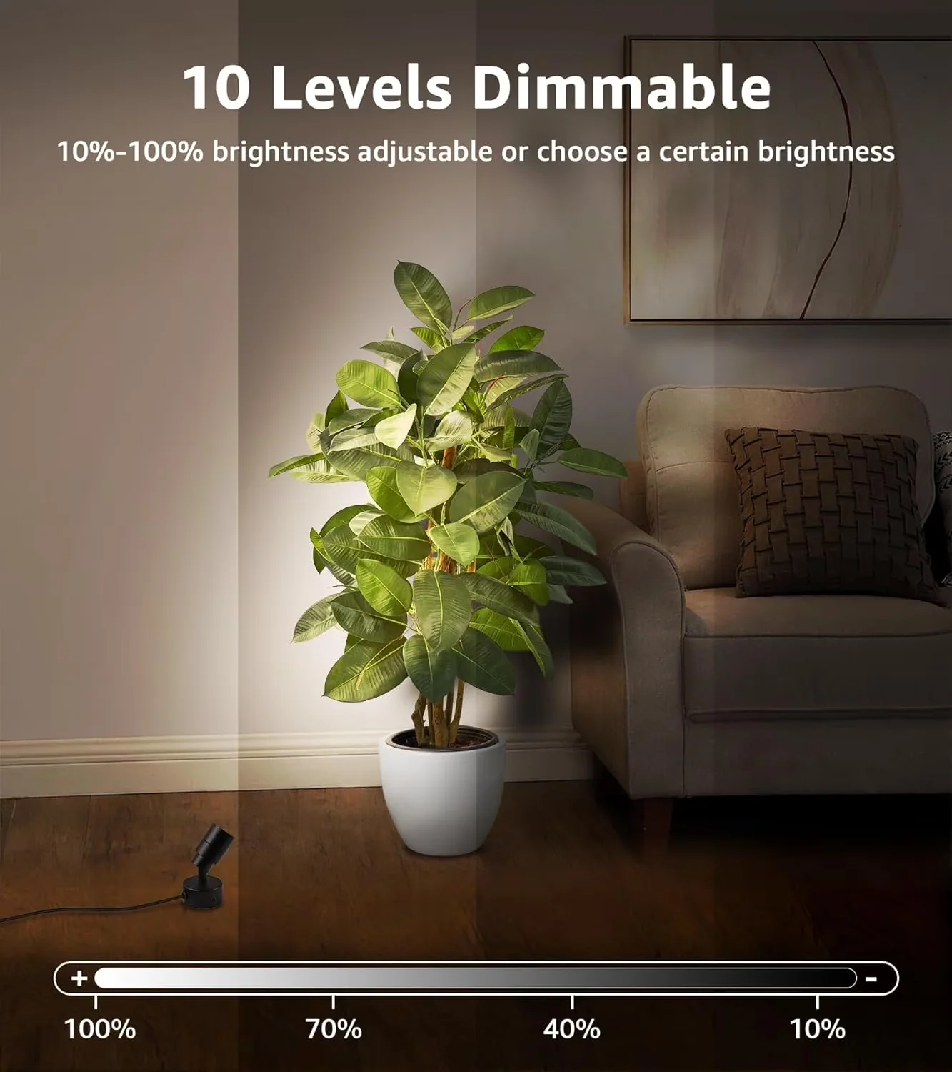Floor Lamp Efficient with LED, 3W - 3000K - Commercial Quality Model 5BDD47