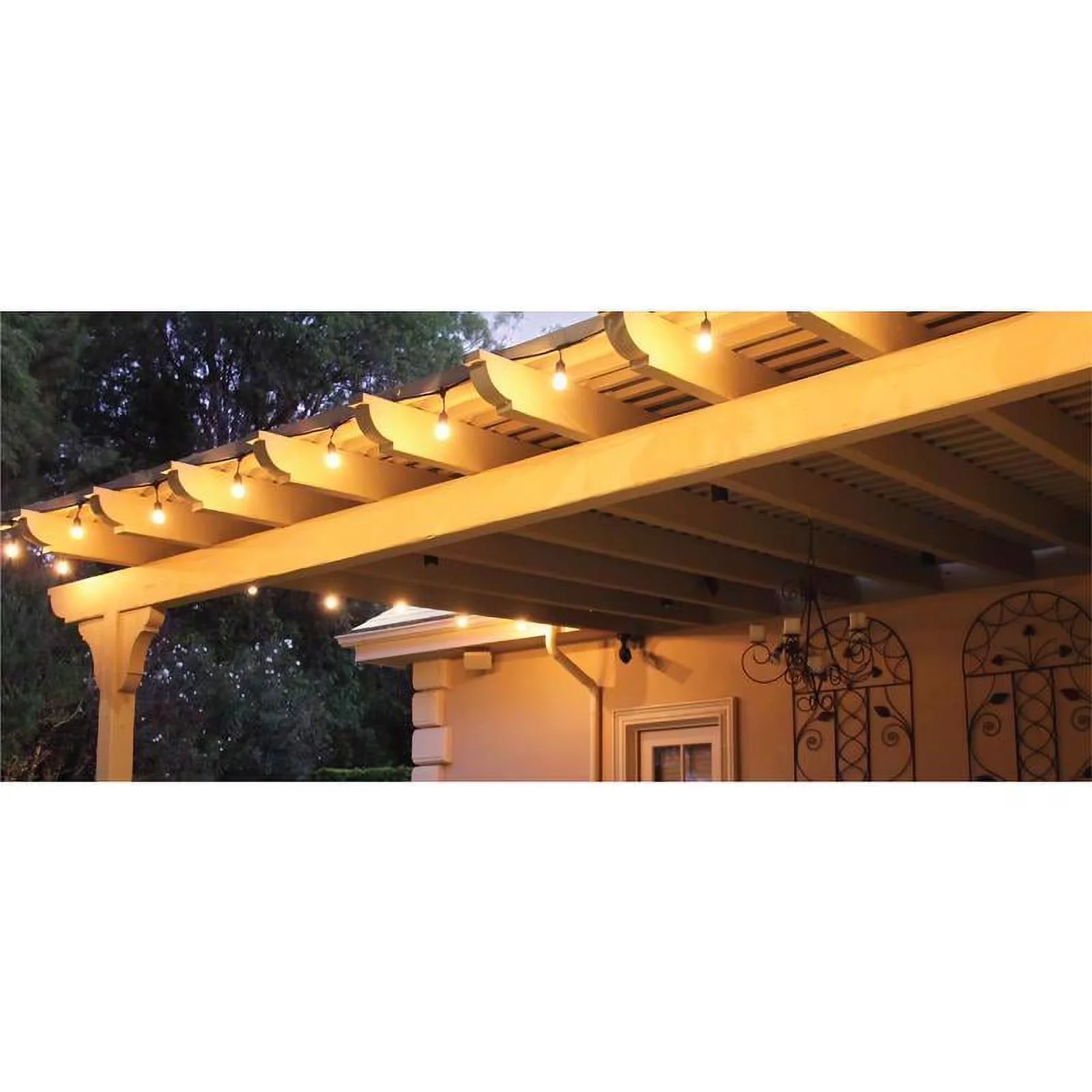 Novelty Light Professional with Incandescent, LED, Dimmable - Clear 20 ft Model 8093C1