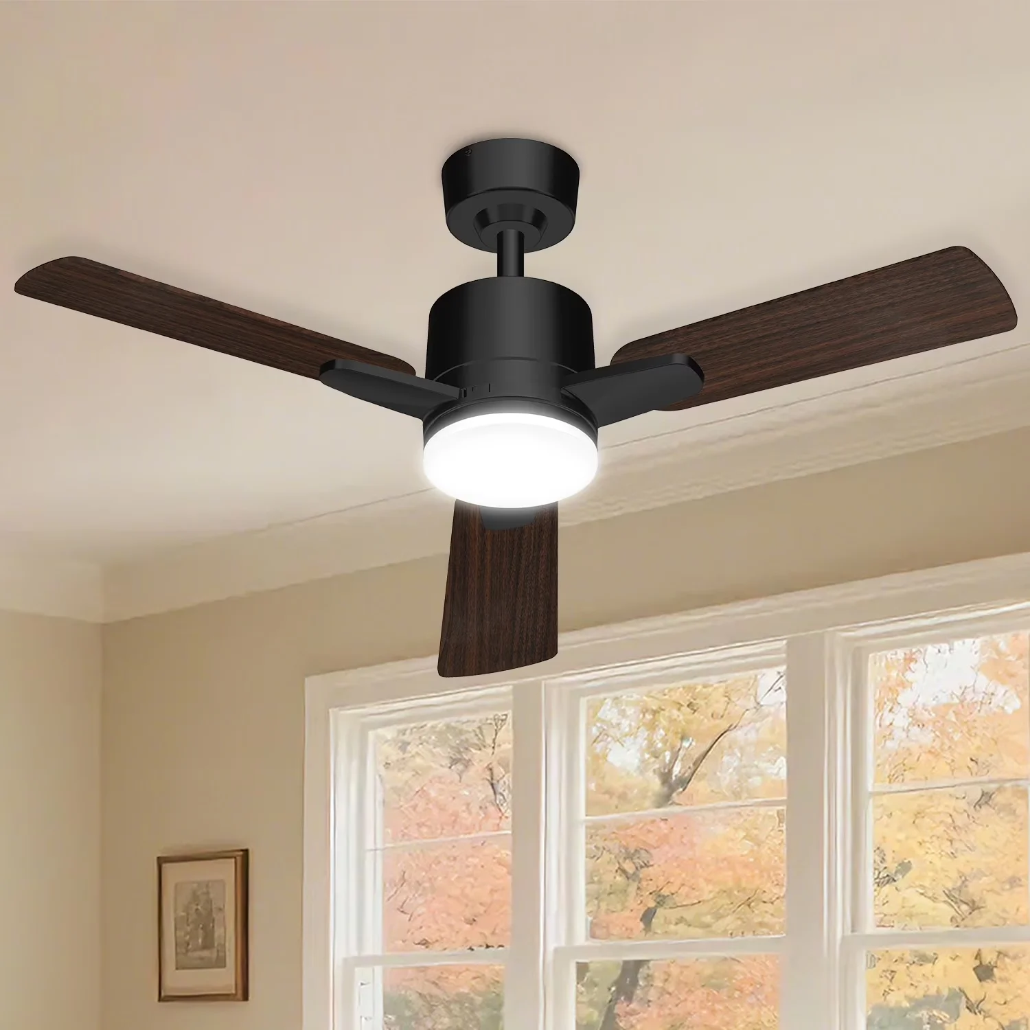 Premium Ceiling Fan with LED, Remote Controlled, Manistays 42 inch Downrod - Frosted Cover Black Model 9C556F