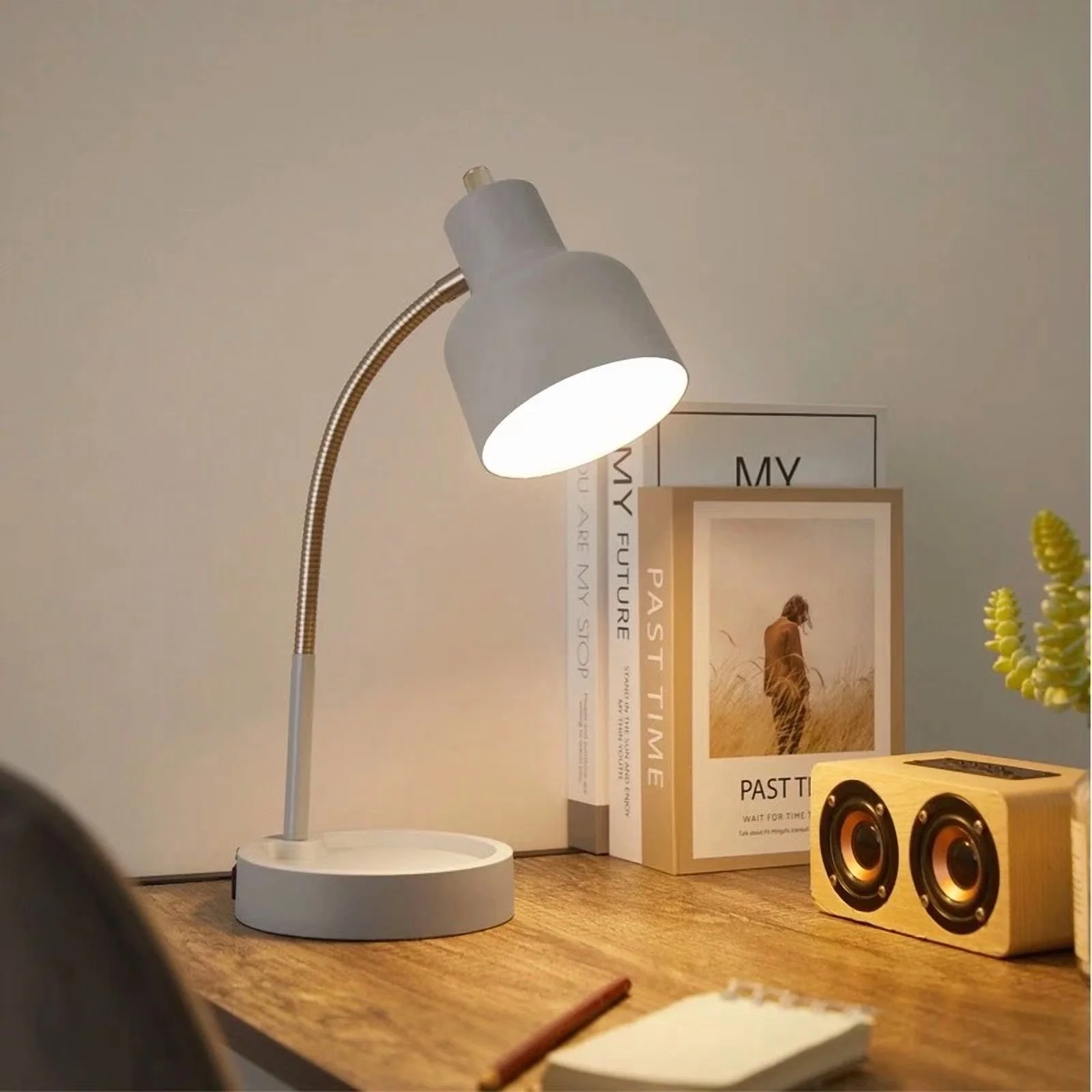 Efficient Desk Lamp with LED, Gooseneck, Energy Efficient - Gray Catch Model D432FC