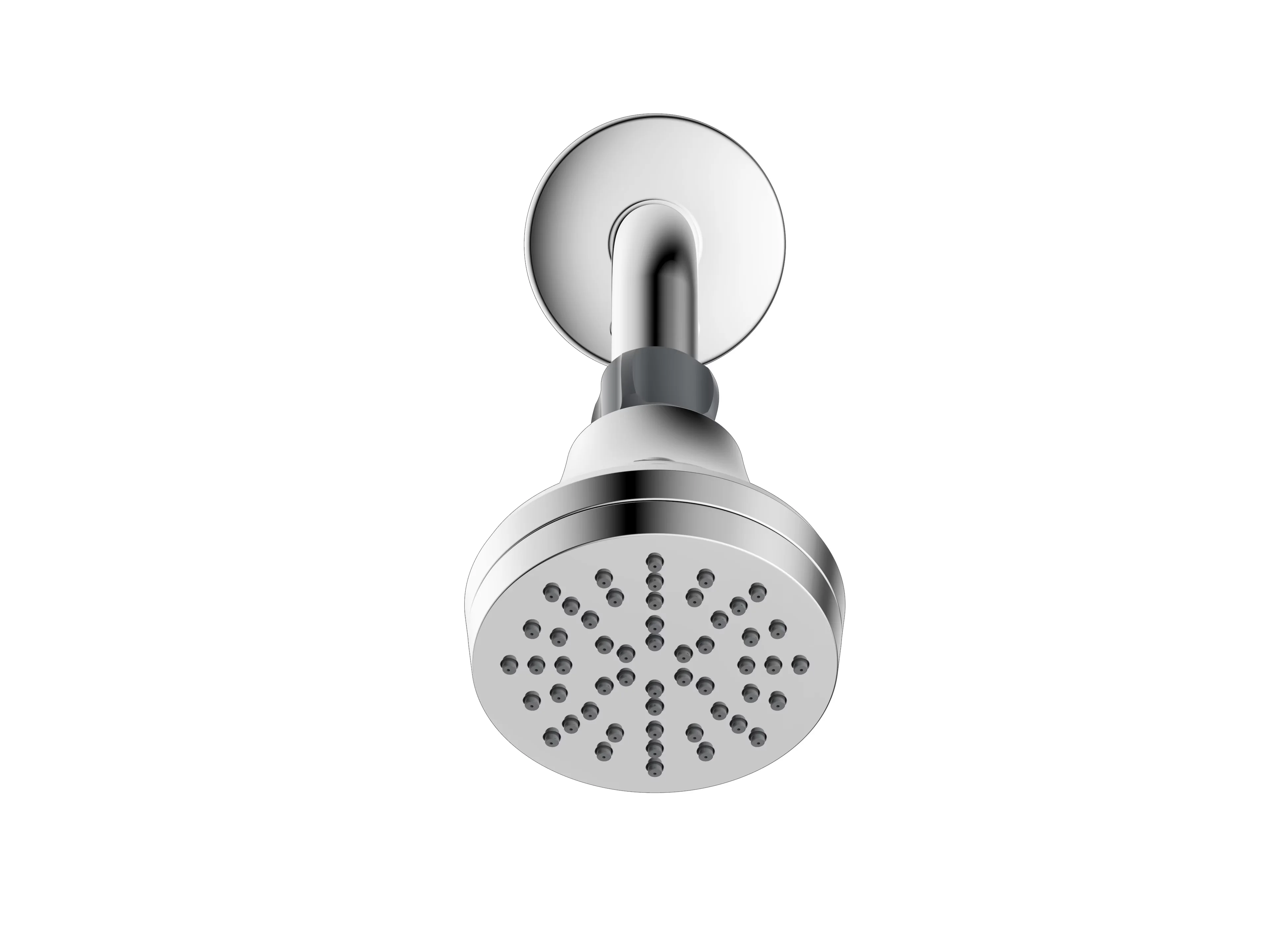 Shower Head Professional with 1-Setting spray: full spray, Single Setting in Chrome - Abs,Pp,Synthetic Rubber,Pom Silver Model 6DFD75