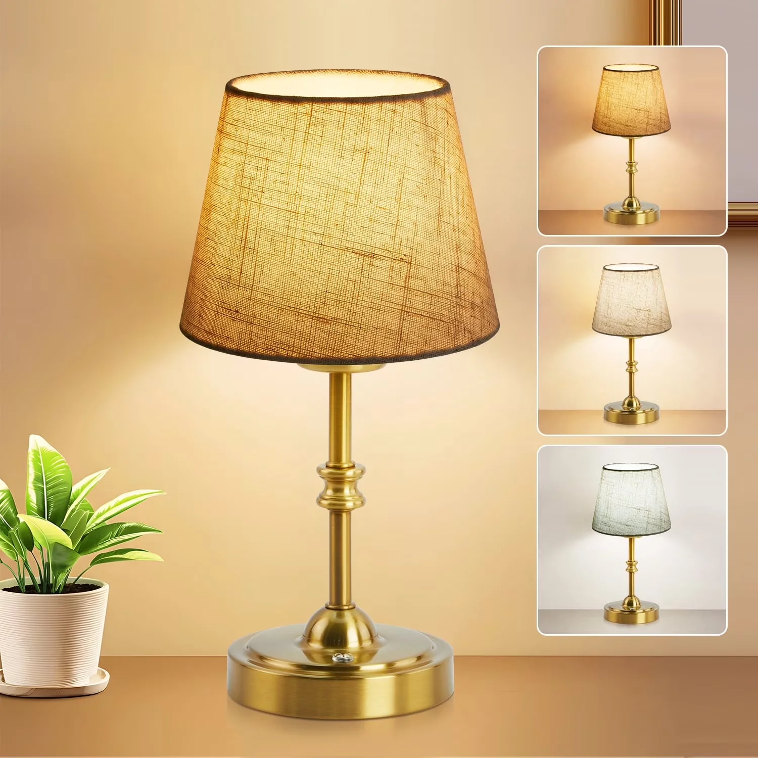 Lamp Quality with LED, Battery, Standard Lamps - Gold Stainless Steel for Living Room, Bedroom Model 39AAC5