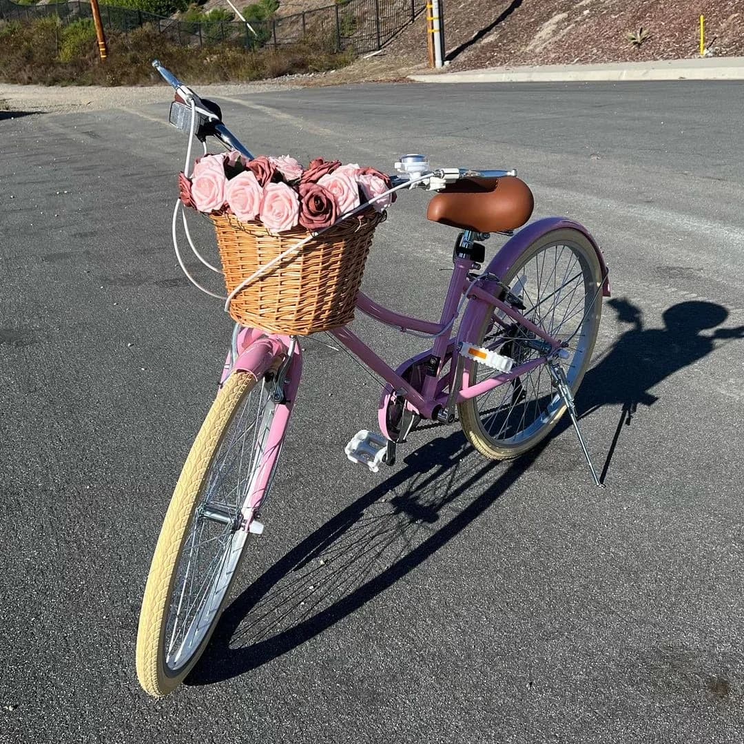 Sleek Cruiser Bike with Adjustable Seat Height, Adjustable Handlebar Height - Pink Model F1FAF5
