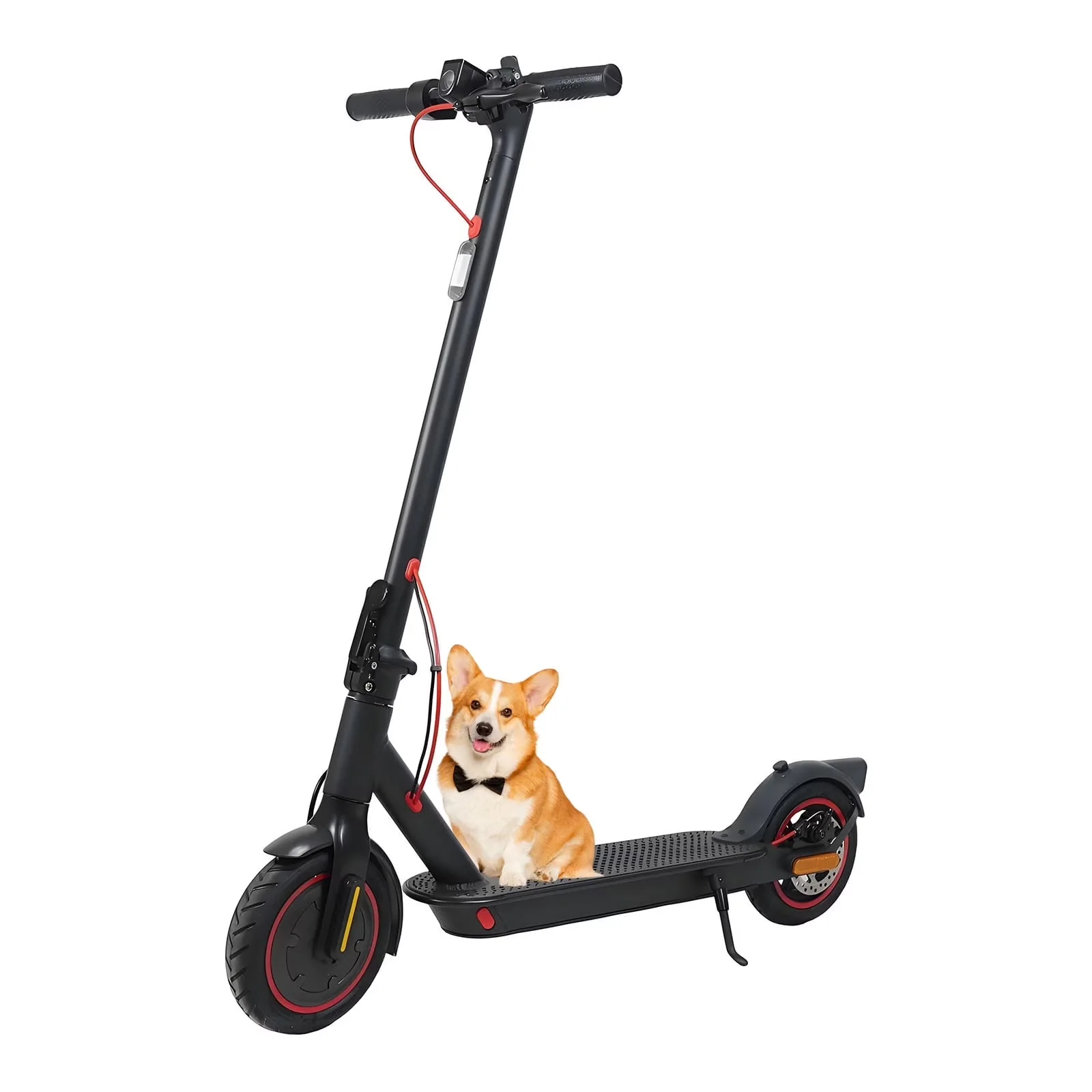 Quality Scooter with 350W, Compact, Headlights - Aluminum Alloy+Abs Black Model 568D77