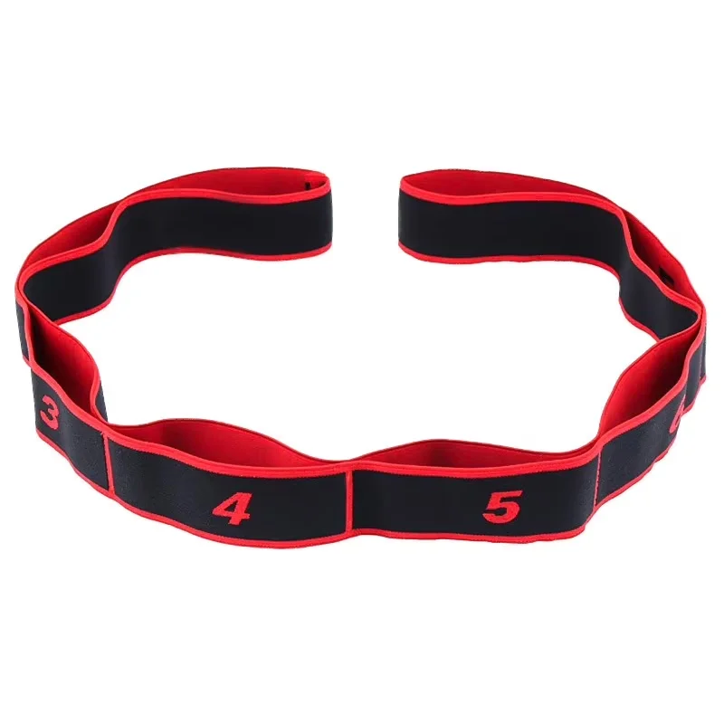 Premium Home Gym with 12 Segment Stretch Bands, Numbered Elastic Resistance Band - Red Model 9768A0