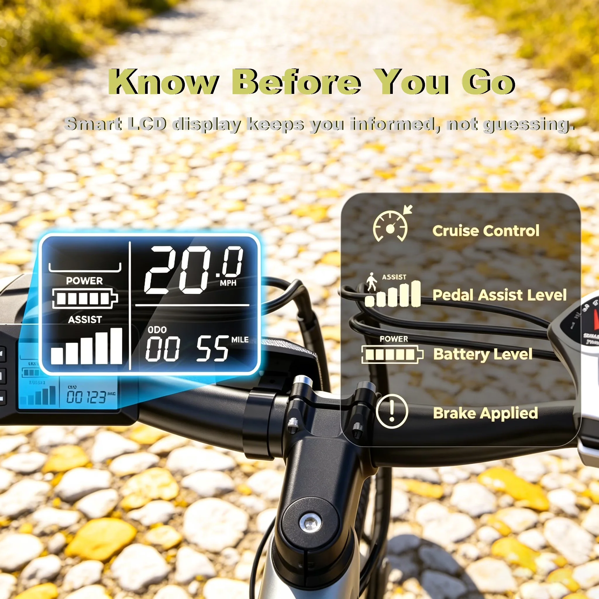 Electric Bike Durable with Battery, 750W, 36V - Black - Rustic Charm Model 505599