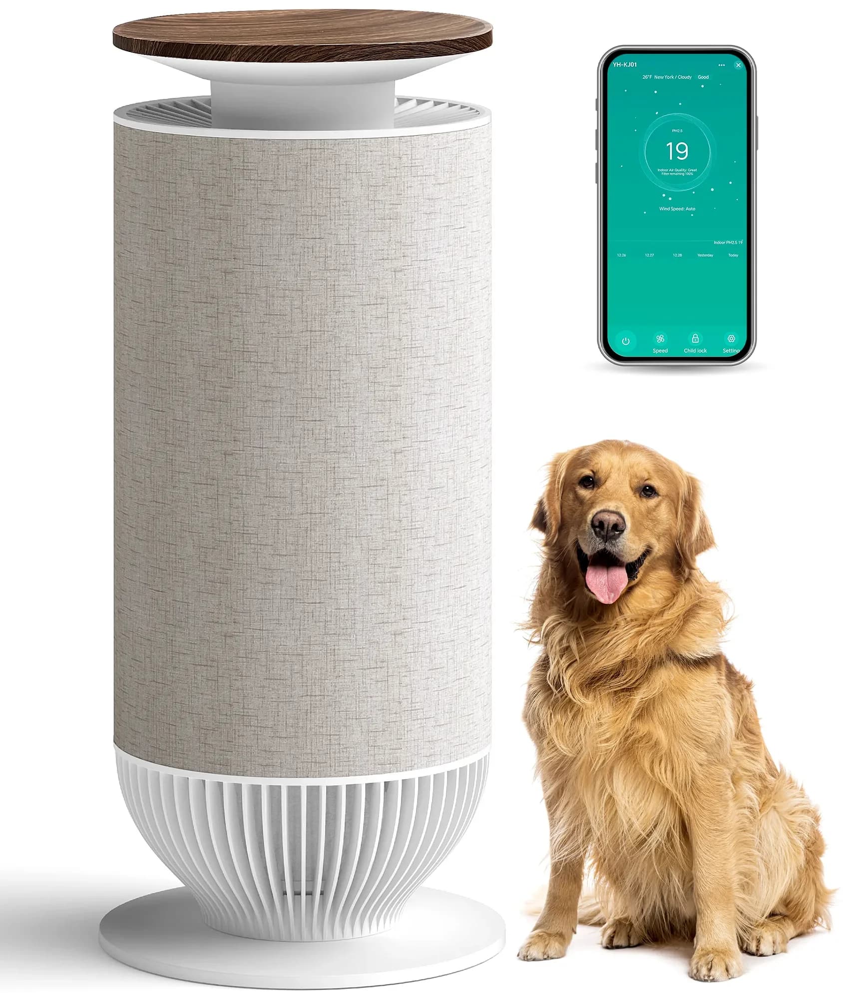 Professional Air Purifier with Filter Change Indicator, Purifiers - Gray for Home, Large Model 7A27F2
