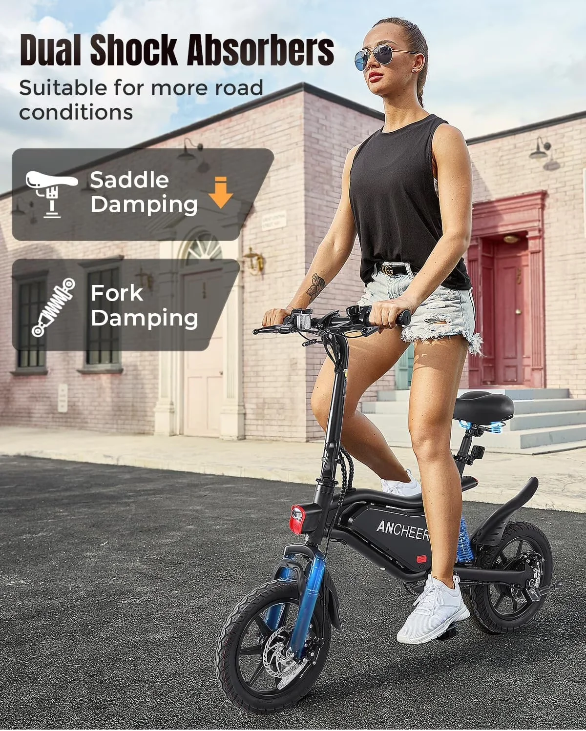 Classic Electric Bike with 500W, 48V, Peak 500W - Black - Professional Series Model 51C4B1