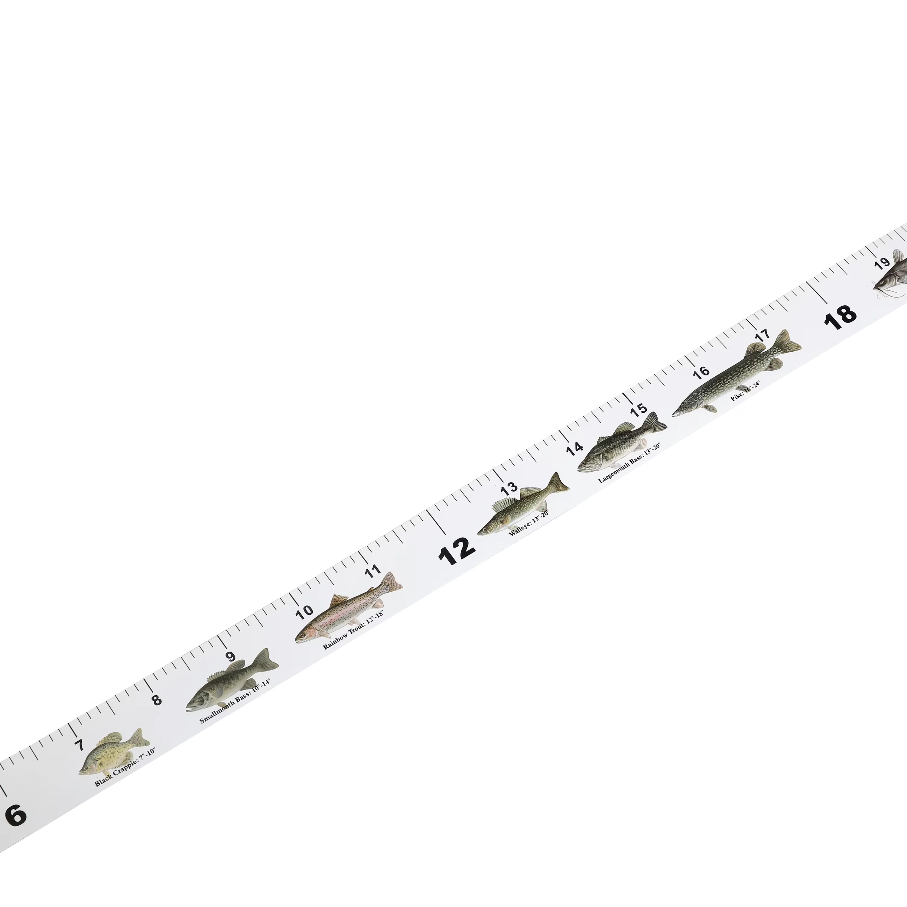 Moving Compact with Easy To Read, Easy To Use, Weather-Resistant - White Sticker Model 905072