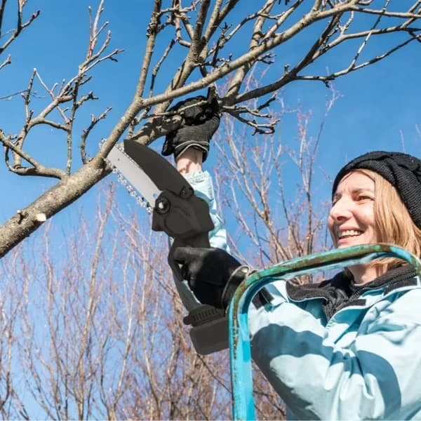 Innovative Chainsaw with Battery, Weatherproof, 4" & 6" Cordless Mini Set - Black Model ECC3BB