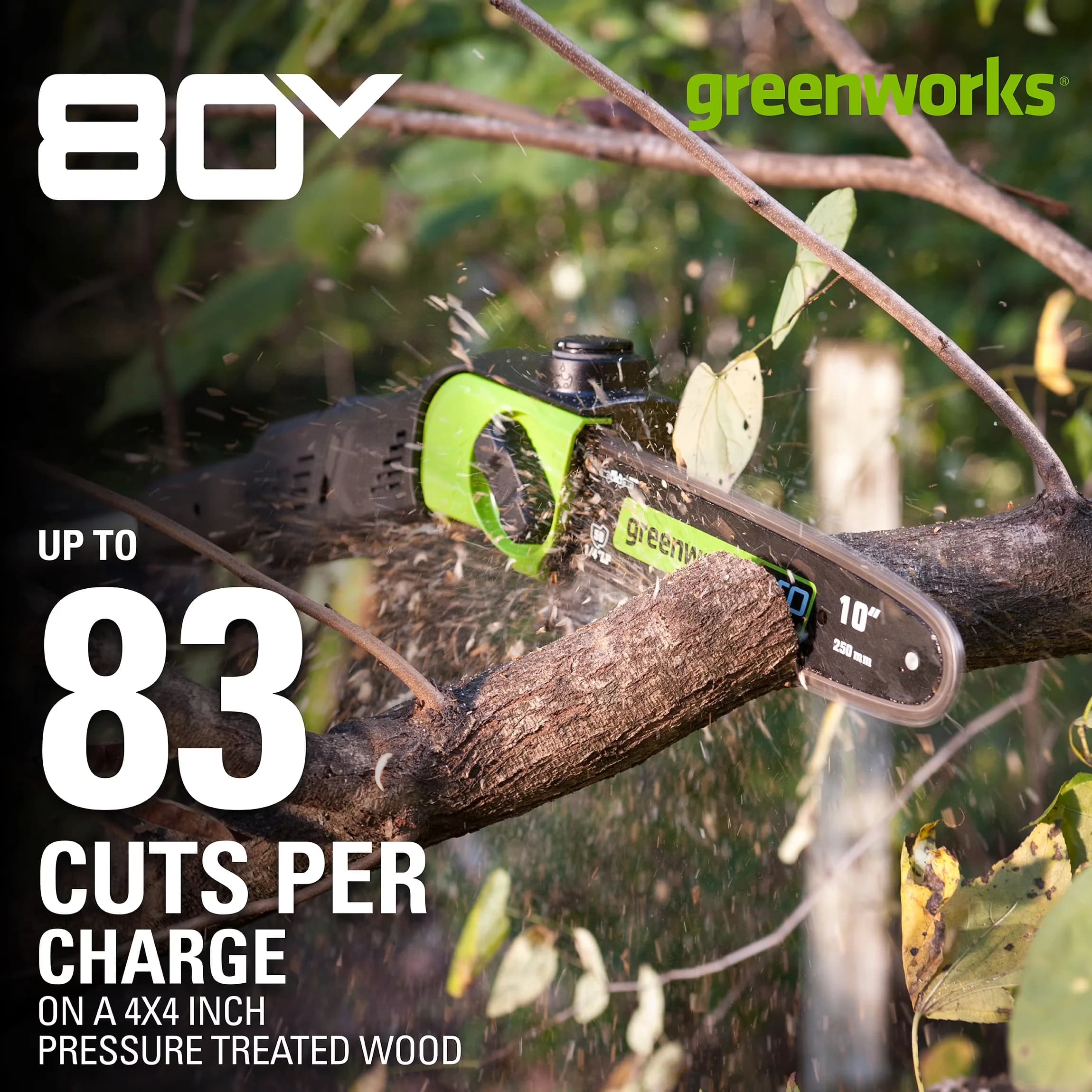 Pole Saw Reliable with Battery, 80V, Pro 80V 10-Inch Cordless - Green - Universal Fit Model 06E9B3