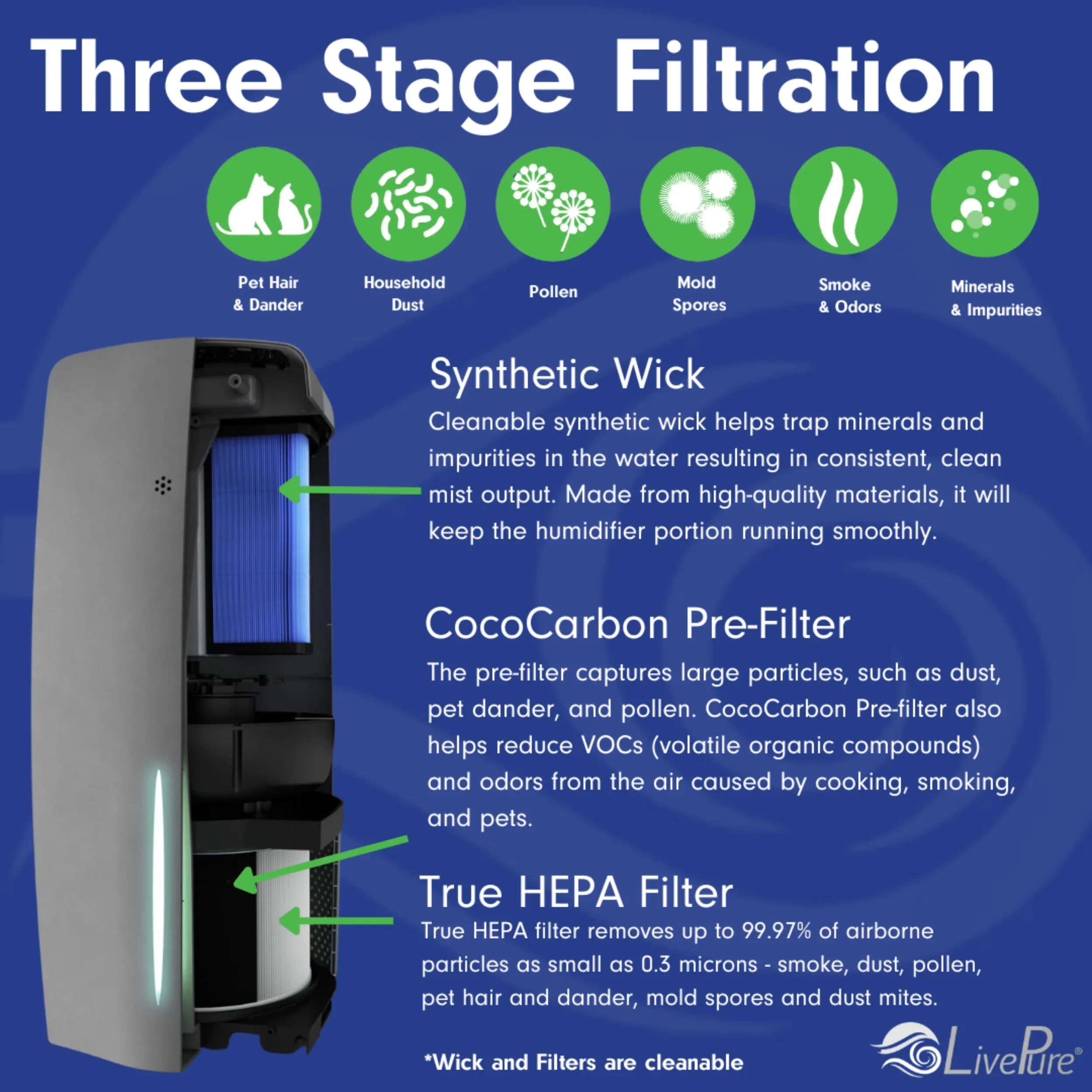 Premium Air Purifier with True HEPA & Humidifier, Black - Black for Everyday Use Model F30C12
