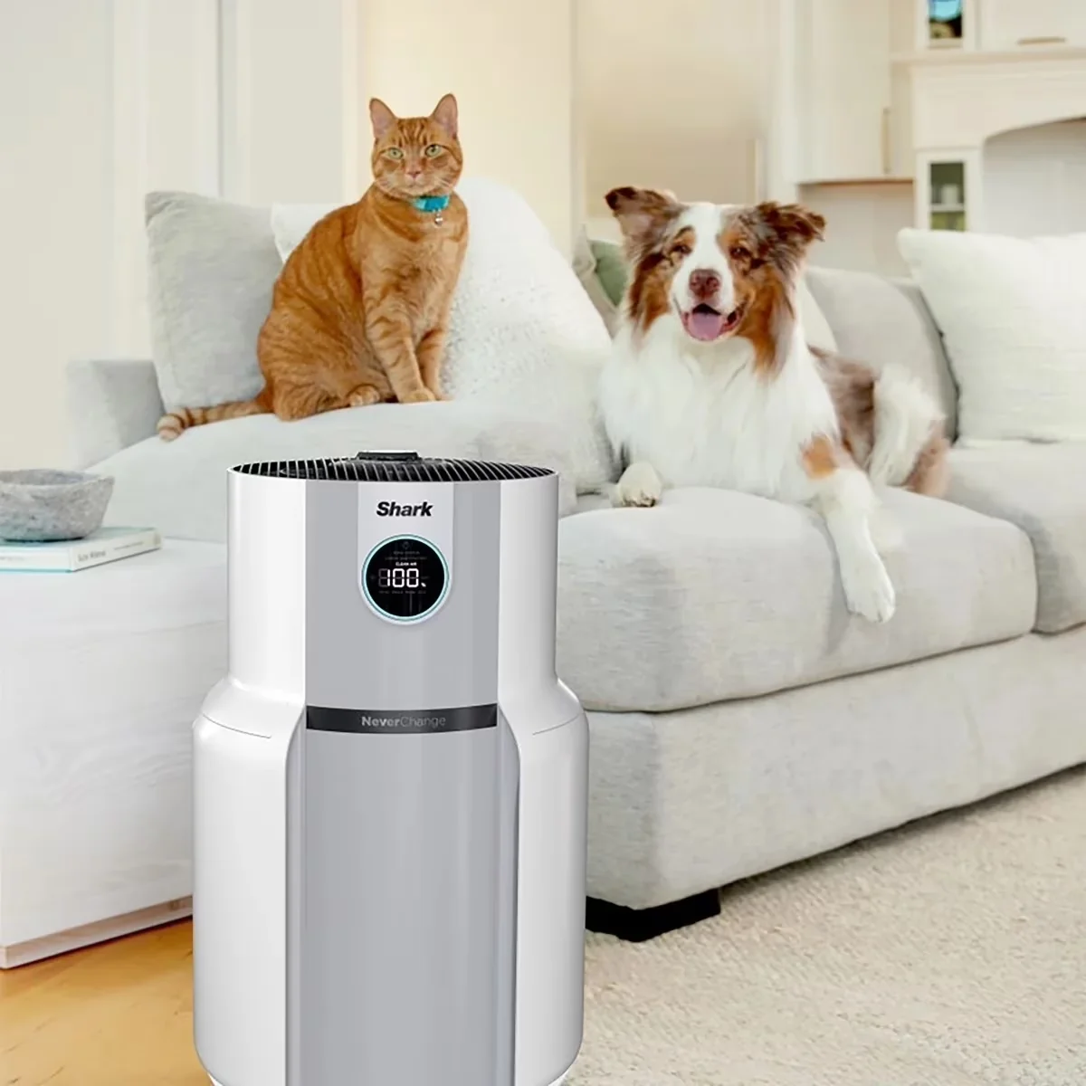 Classic Air Purifier with Automatic Shut-Off, Cellular Network Technology: GSM, Model: iPhone 7 Plus - Model AEEB40