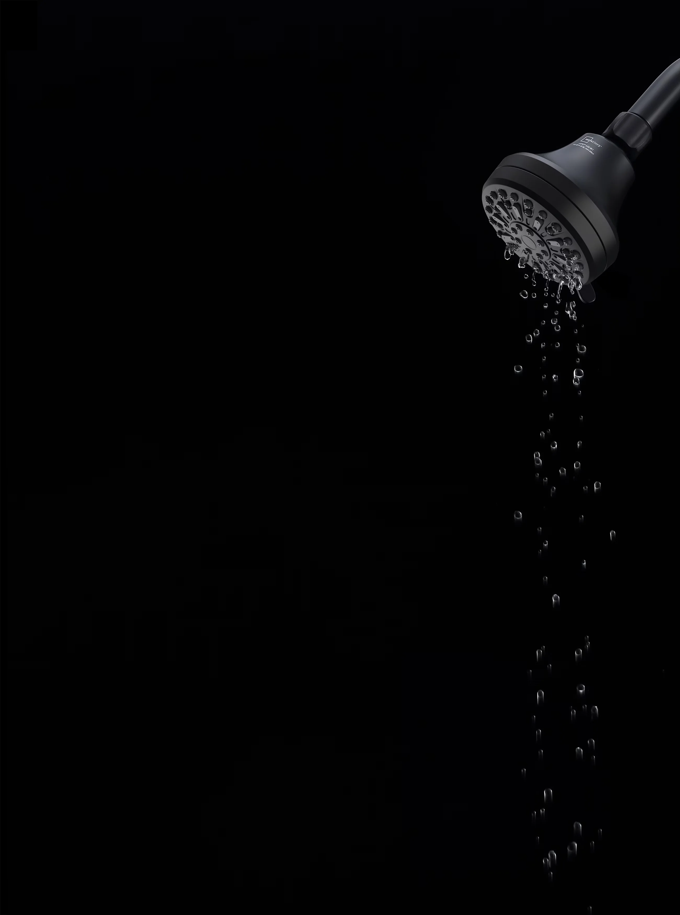Shower Head Compact with Easy To Install, Easy To Clean - Black Plastic Model 17AC53