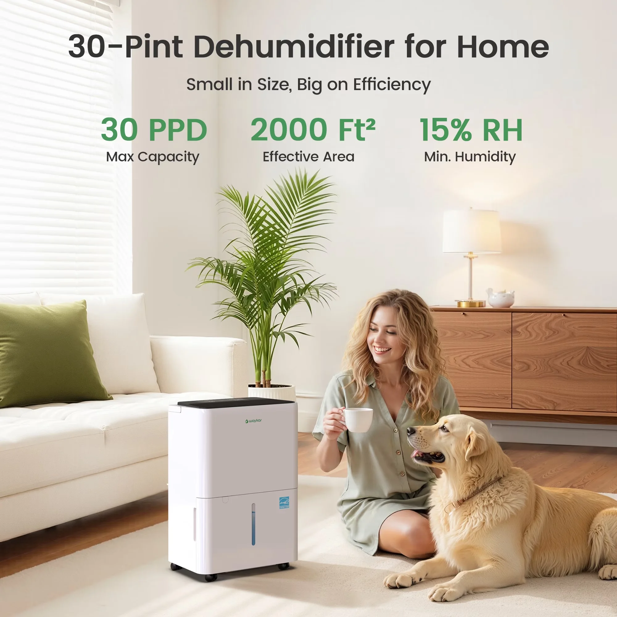 Premium Dehumidifier with Automatic Shut-Off, Bucket Full Indicator - White for Home Model D68C30