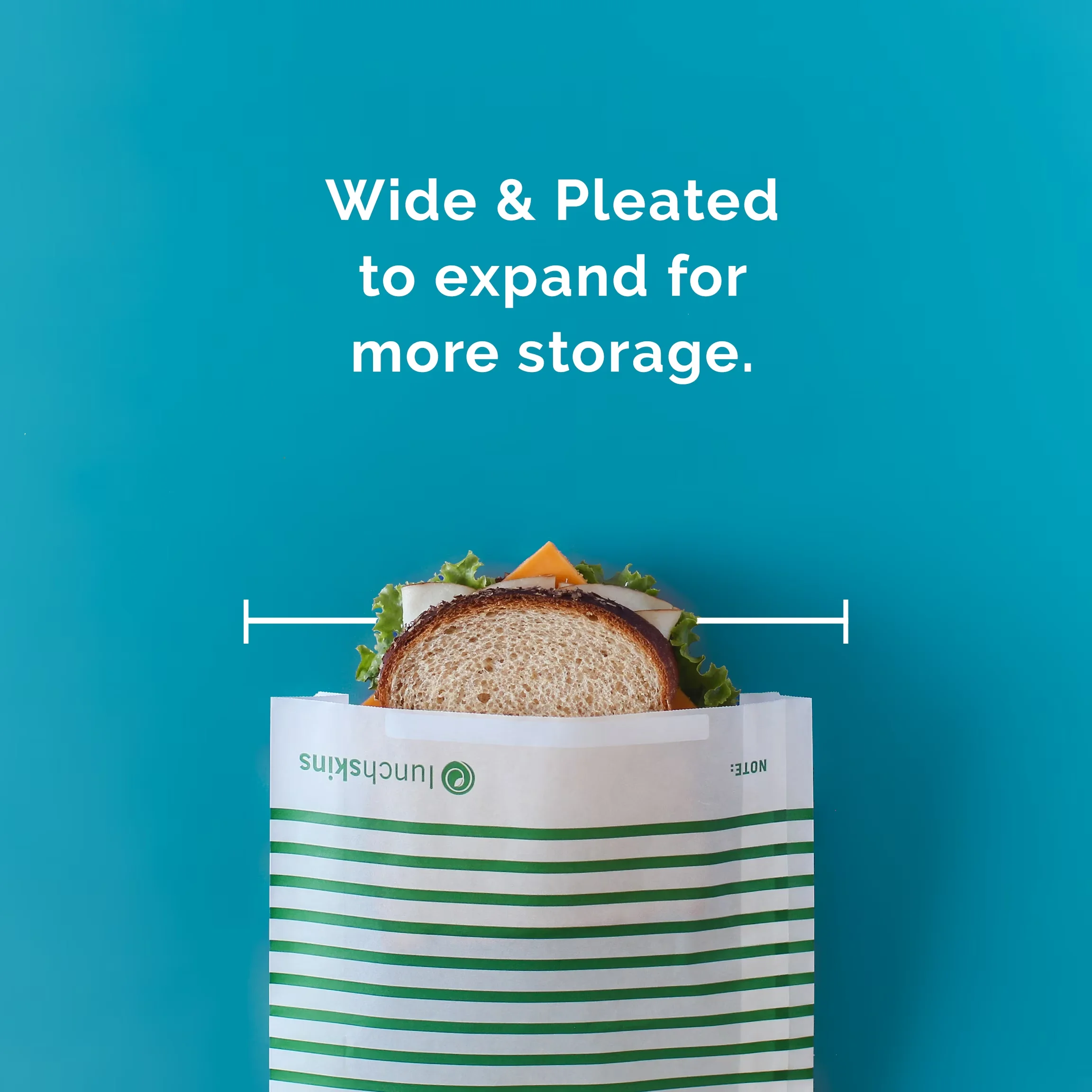 Moving Compact with Recyclable, Self-Adhesive Closure, Recyclable & Sealable XL Sandwich Bags - Paper Green Model 7E4BC7
