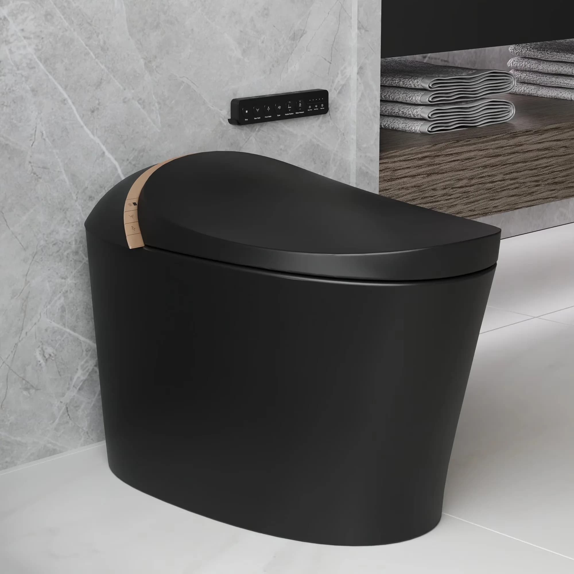 Toilet Seats And Lid Modern with Heated Seat, Premium, DV- Smart Bidet - Ceramic Black Model 65243E