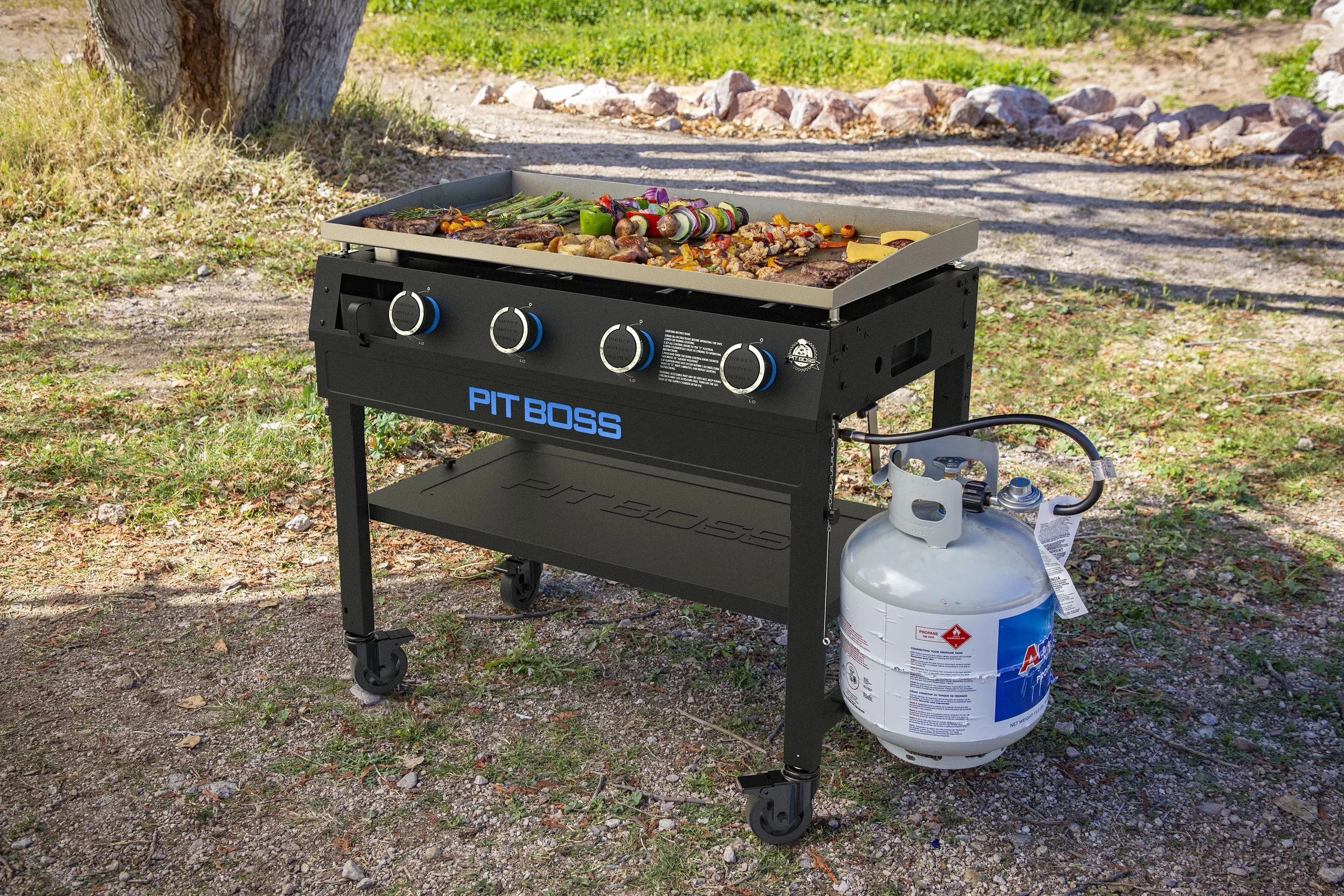 Professional Gas Grill with Foldable Legs, Portable, Grease Pan - Steel Black Model EEADA4