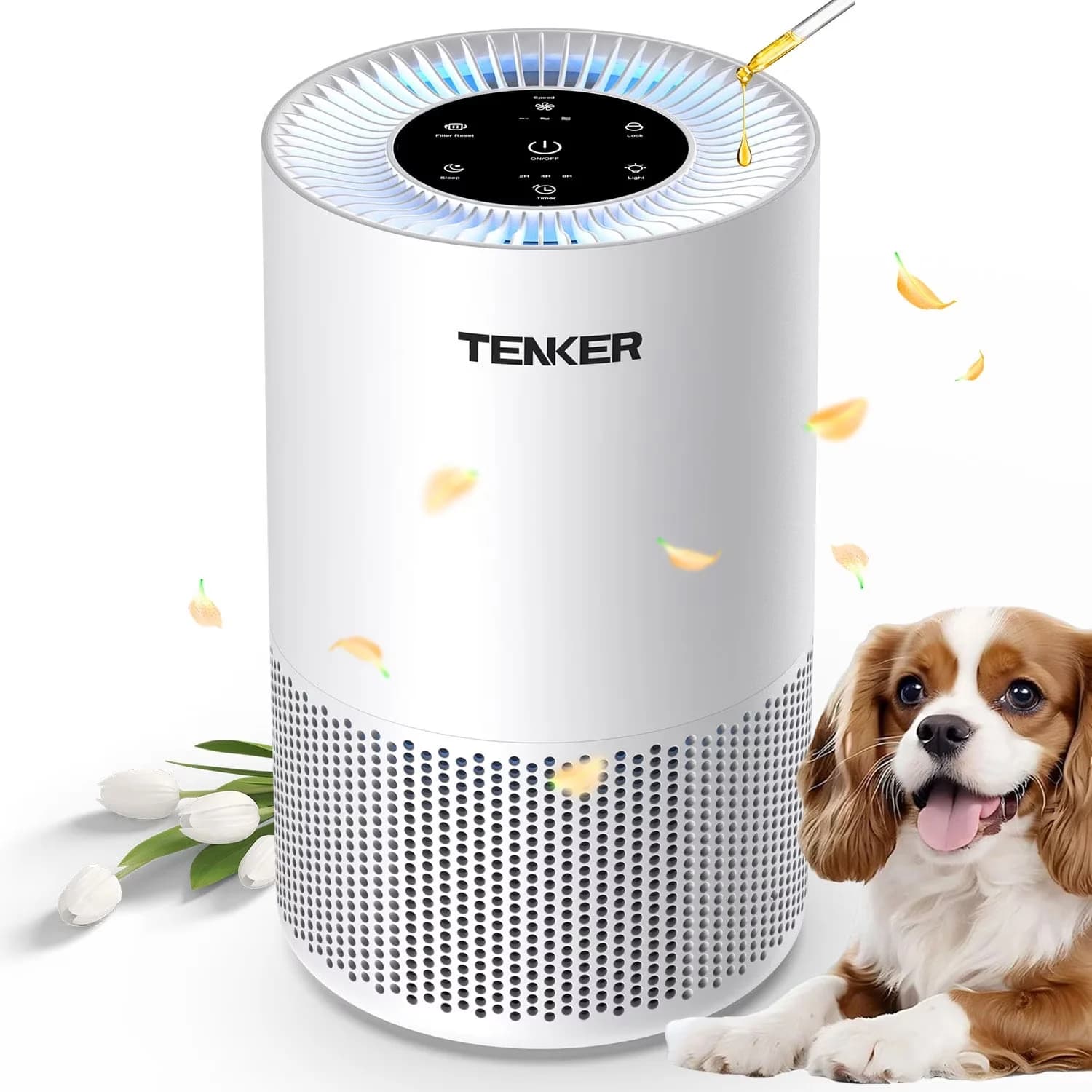Stylish Air Purifier with Filter Change Indicator, Variable Speed - White for Home Model EF1EF8