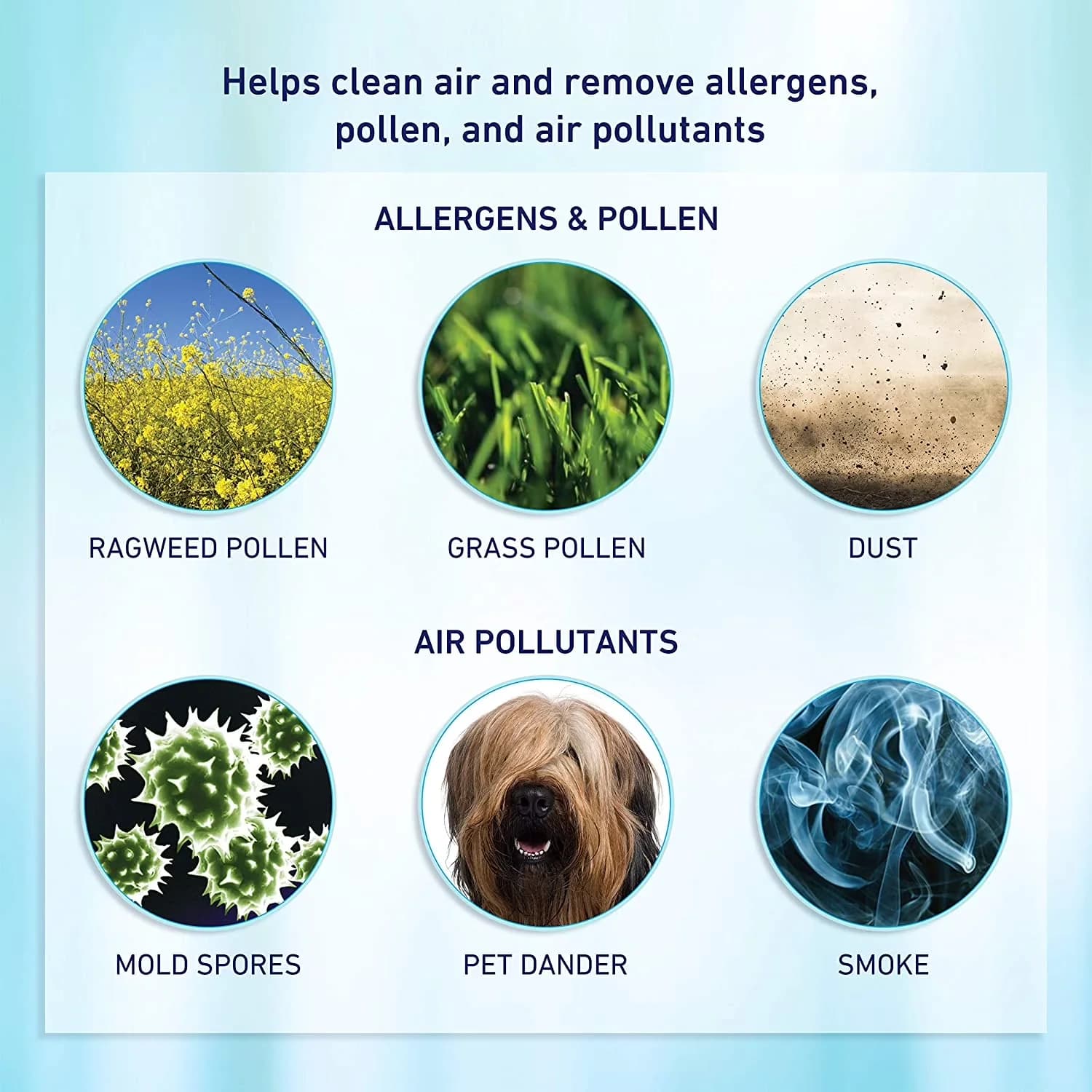 Durable Air Purifier with Odors - Solution - Low Maintenance Model A16A89