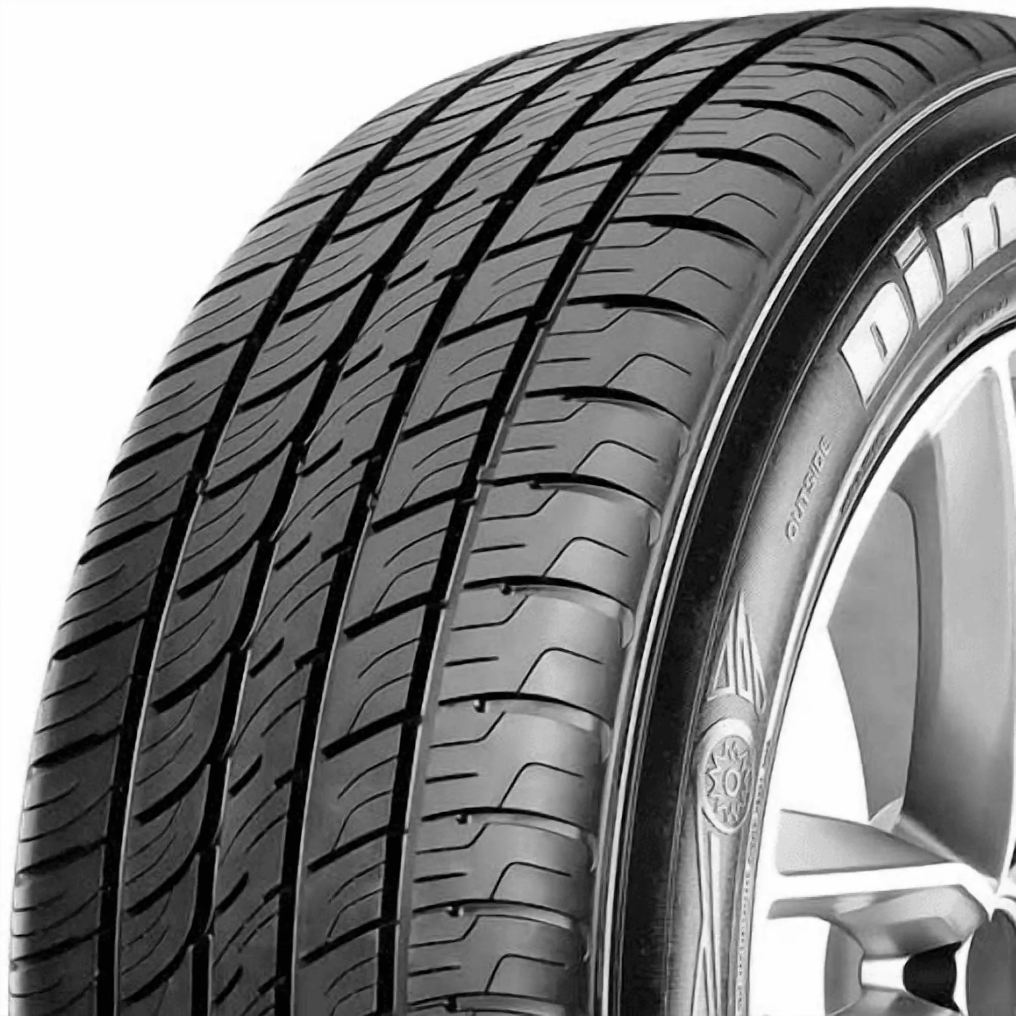 Essential Atv Tire with 102V, All-Weather, Dimax AS 8 225/ 102V BSW (2 Tires) - Model A7AB96