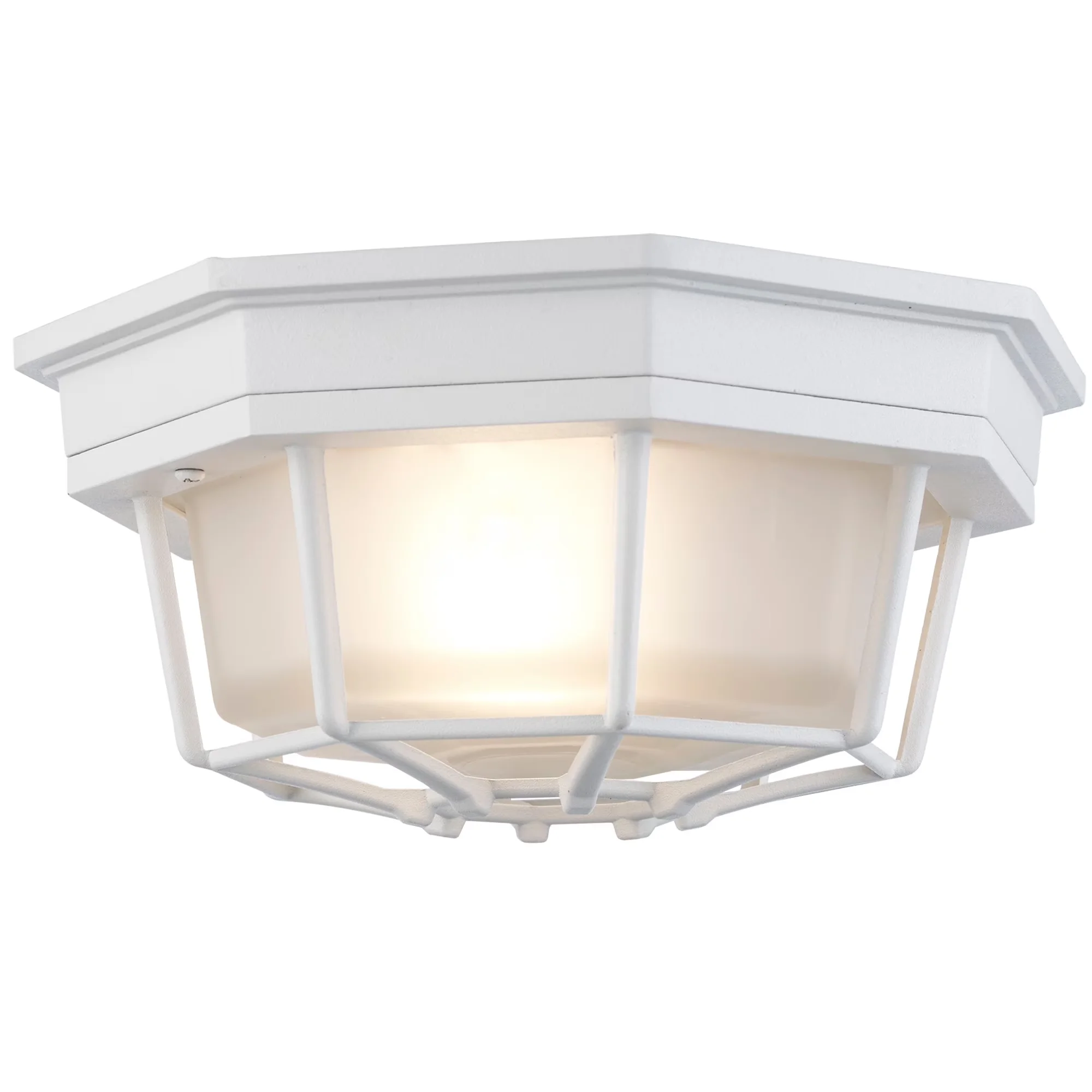 Ceiling Lights Fixture Durable with Incandescent, Contemporary, Dimmable - Metal Black Model 49DE49