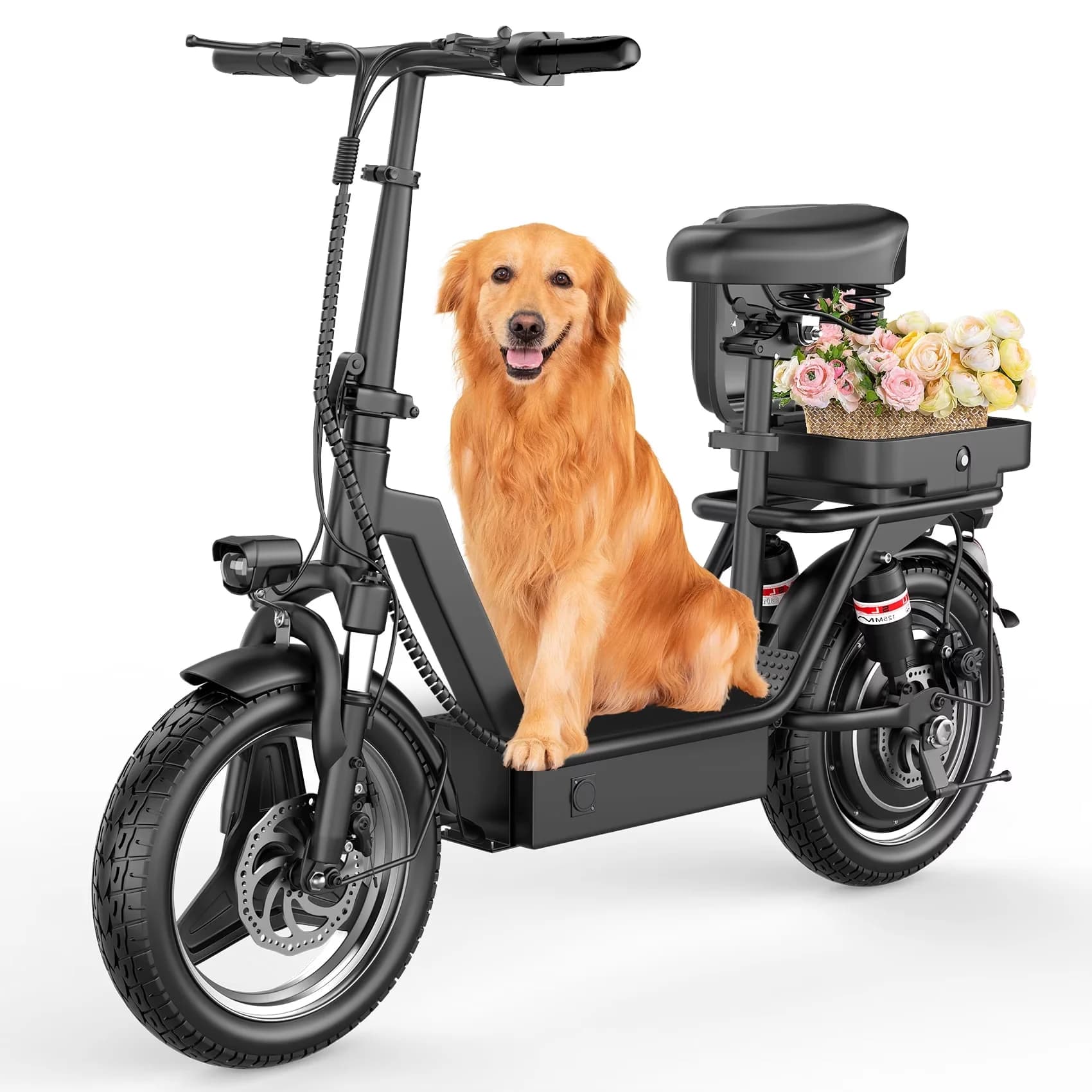 Scooter Modern with 1000W, 48V, Electric - Alloy Steel Black - Ergonomic Design Model A26E97