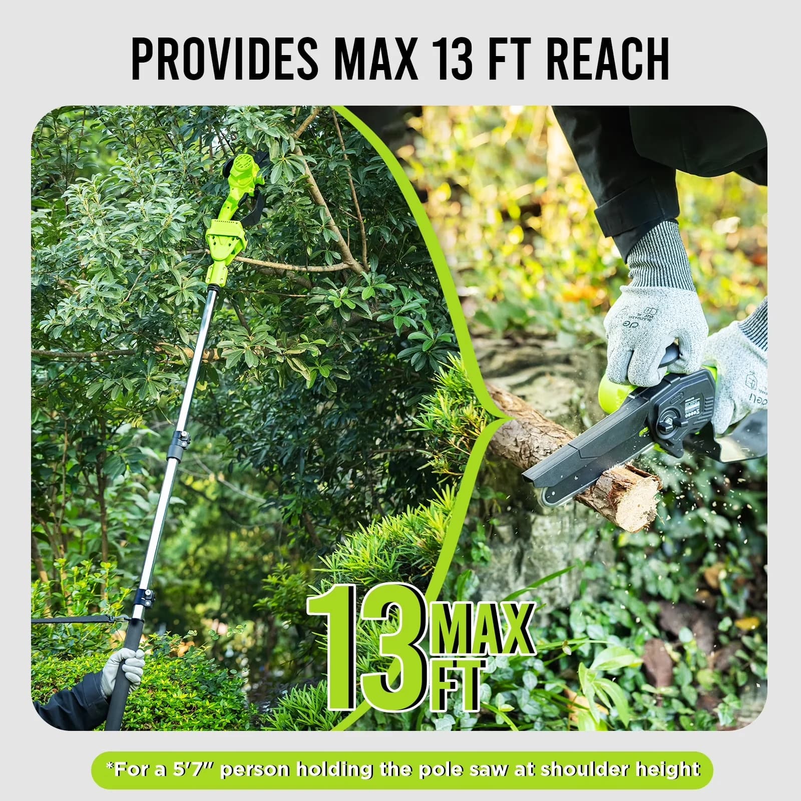 Pole Saw Compact with Battery, 21V, Telescoping - Professional Series Model 7E66AE