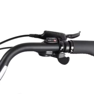 Versatile Cruiser Bike with Motor holder: for Ananda motor, Down tube: YEMA down tube - Black Model 4029DB