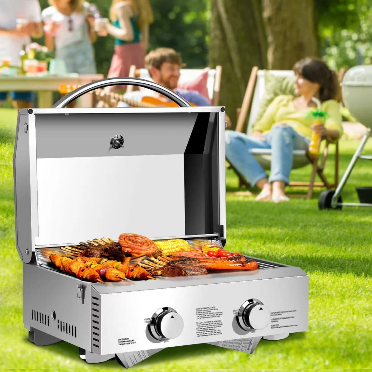Innovative Gas Grill with Portable, Cooking area size: 20.5'' x 13'' - Stainless Steel Model 0BD4FB