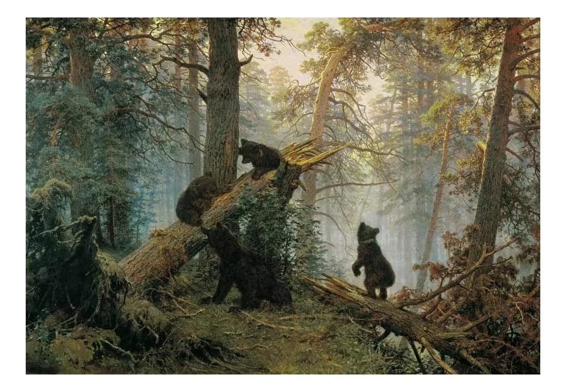 Wallpaper Modern with Waterproof, Wall Mural - Morning In A Pine Forest Wall Mural Model 627AEE