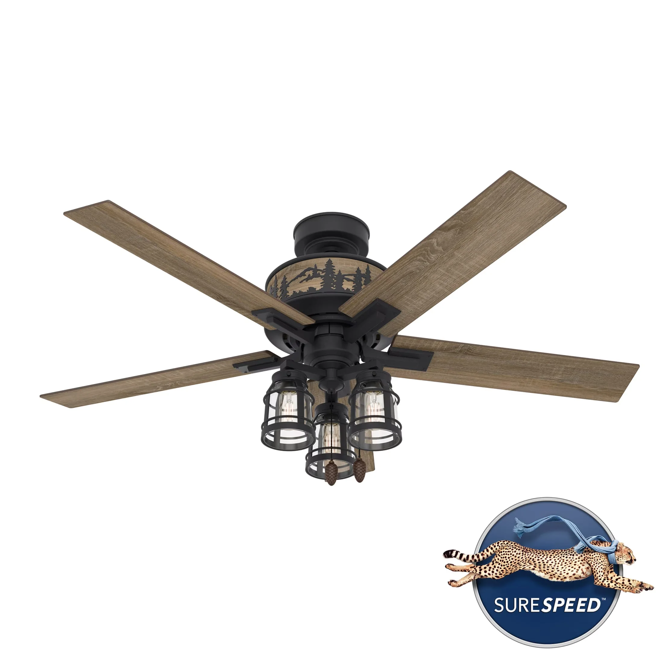 Ceiling Fan Efficient with LED, Reverse Airflow, Traditional - Glass Black for Living Room, Bedroom Model EA9649