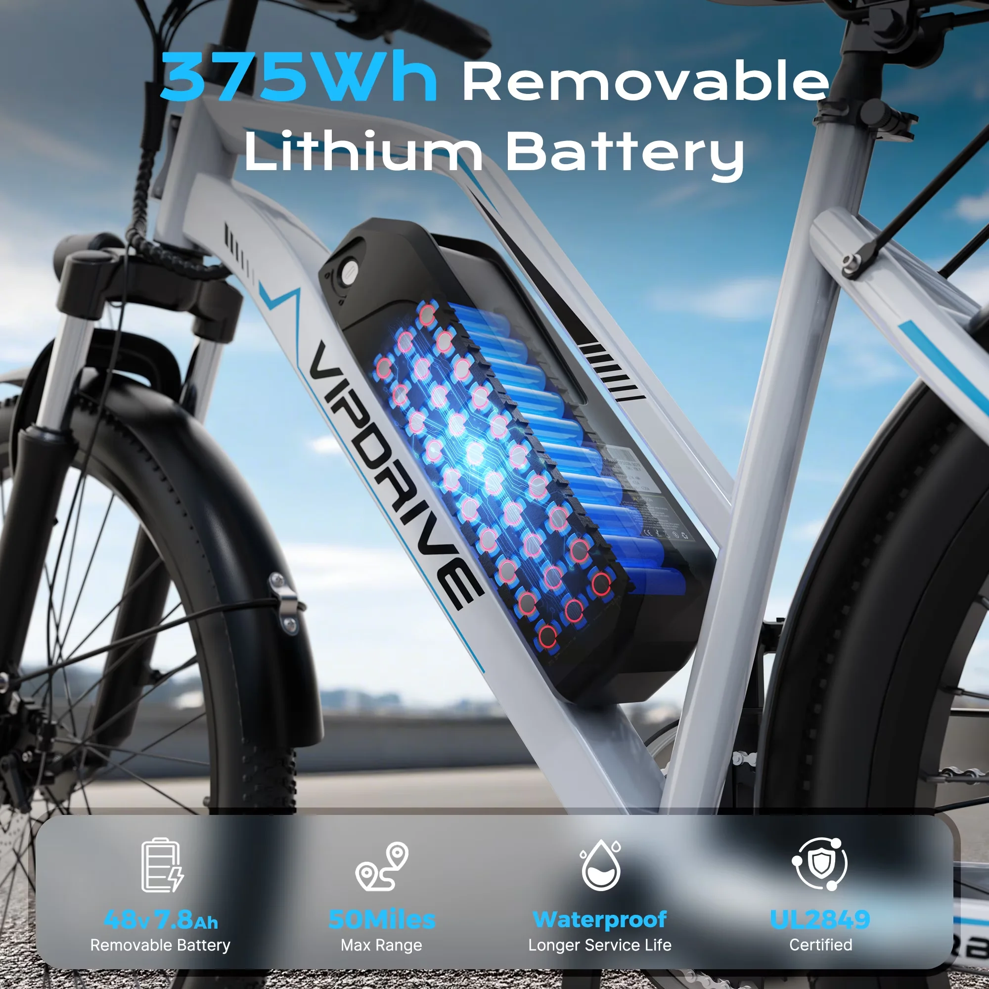 Sleek Electric Bike with Battery, 750W, 48V - Heavy Duty Model EC660D